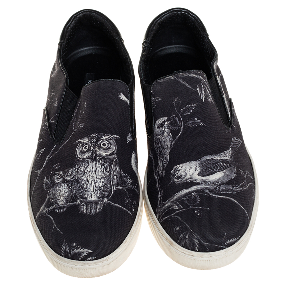 Dolce & Gabbana Blue/White Owl Print Canvas Slip On Sneakers Size 44