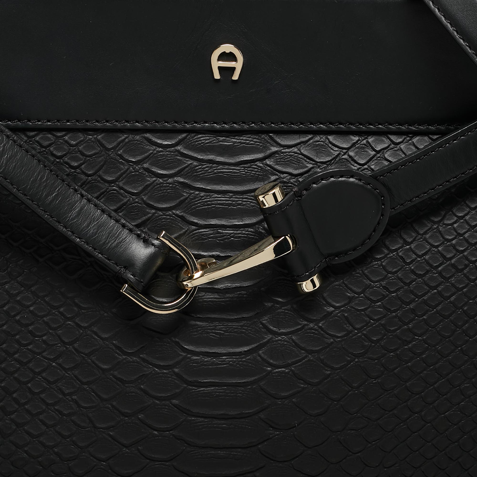 Aigner Black Python Embossed Leather And Leather Cavallina Tote