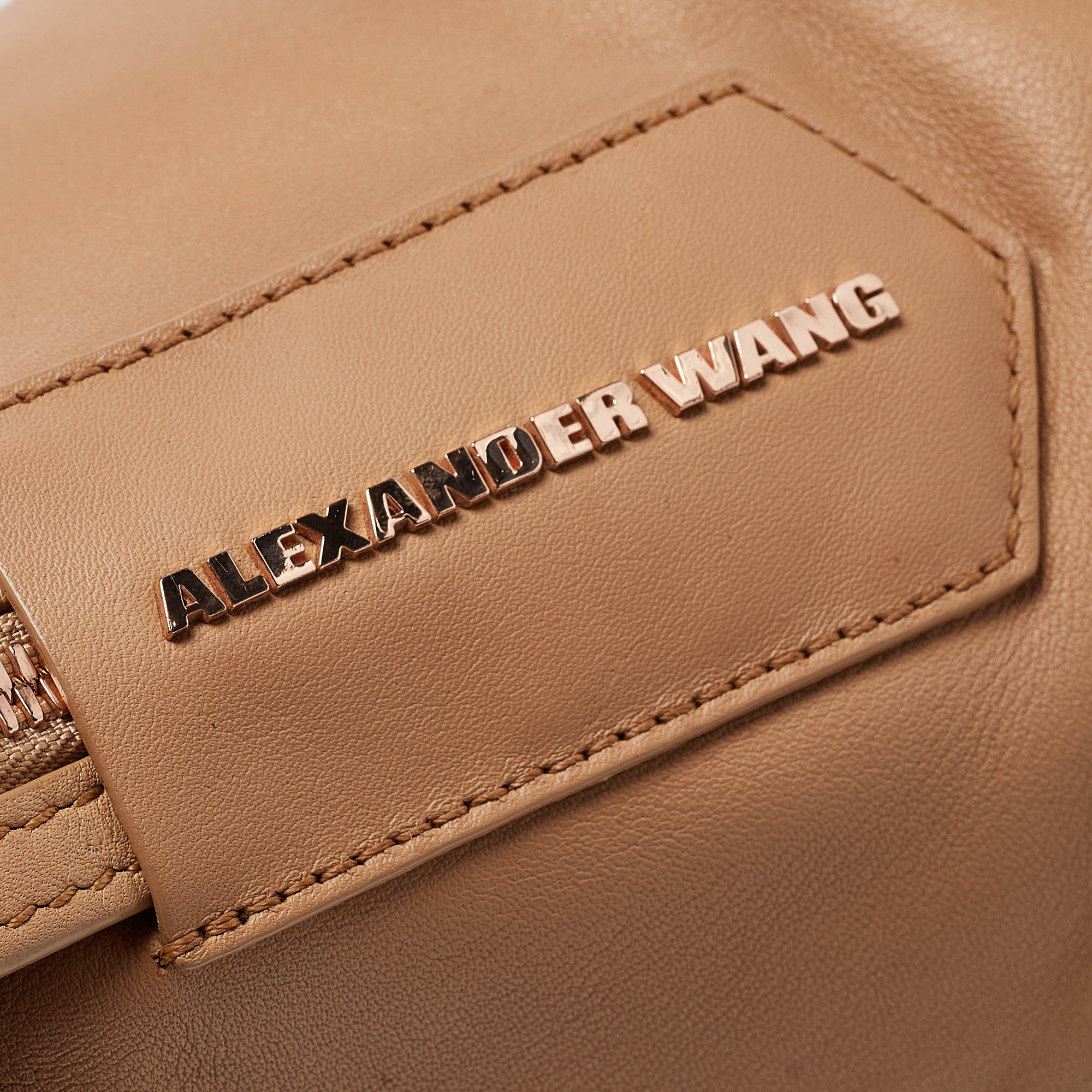 Alexander Wang Beige Leather Emile Satchel