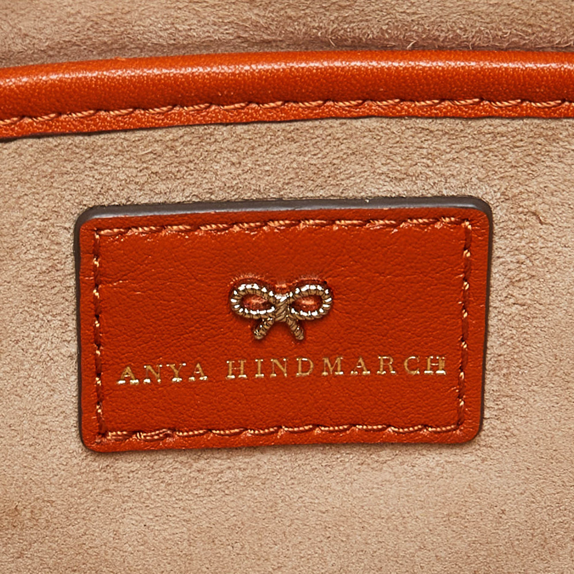 Anya Hindmarch Multicolor Satin And Leather Tassel Georgiana Clutch