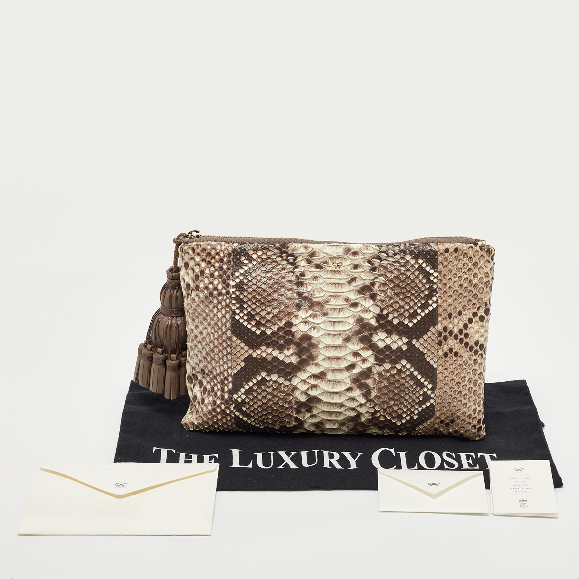 Anya Hindmarch Beige Python Zip Tassel Pouch