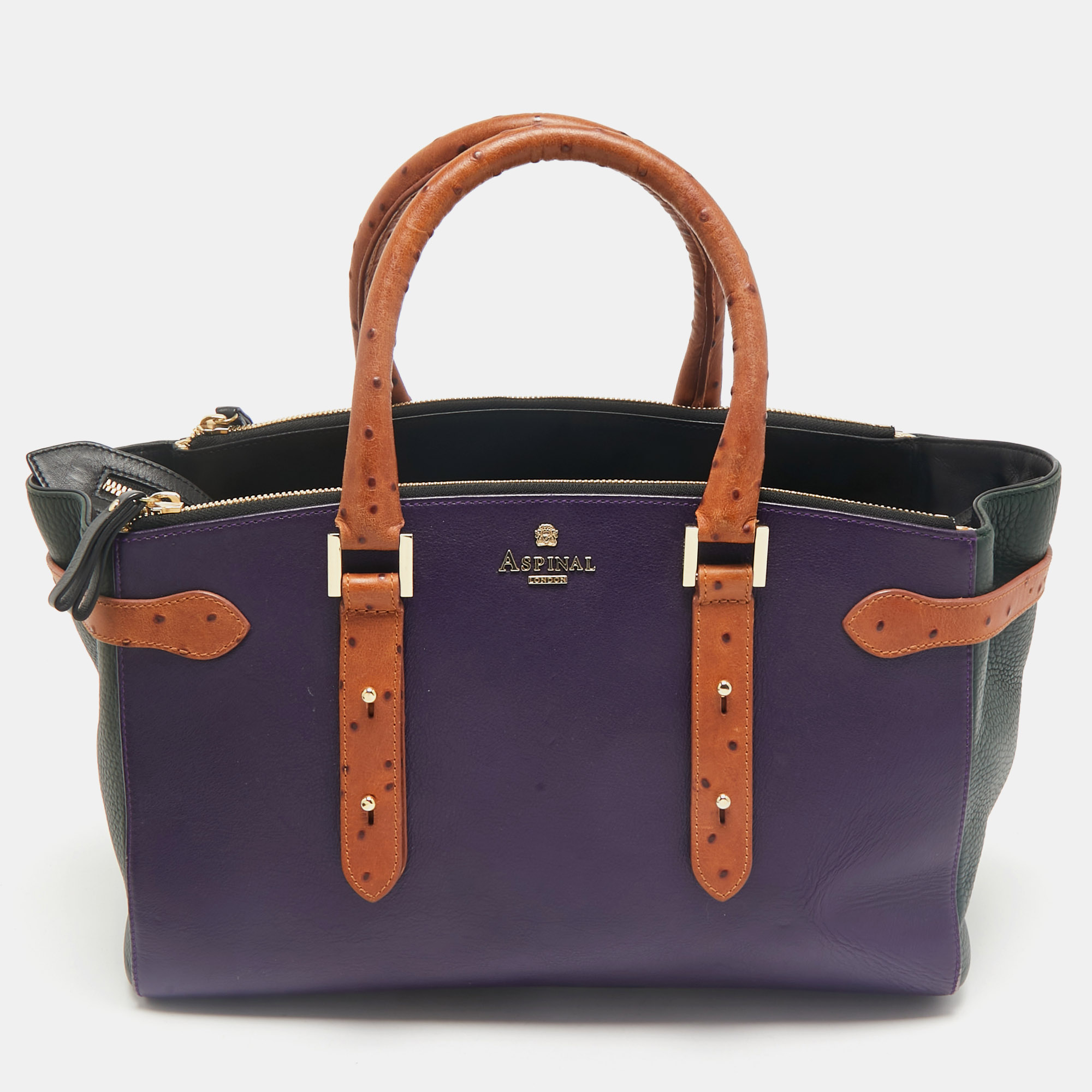 Aspinal of London Multicolor Leather and Ostrich Embossed Marylebone Tote
Aspinal of London Multicolor Leather and Ostrich Embossed Marylebone Tote