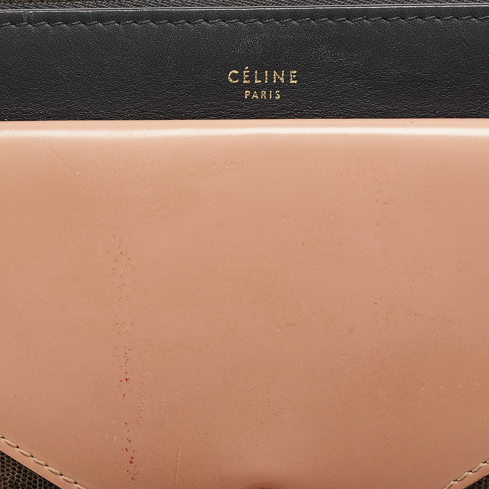 Celine Multicolor Leather And Watersnake Pocket Envelope Shoulder Bag