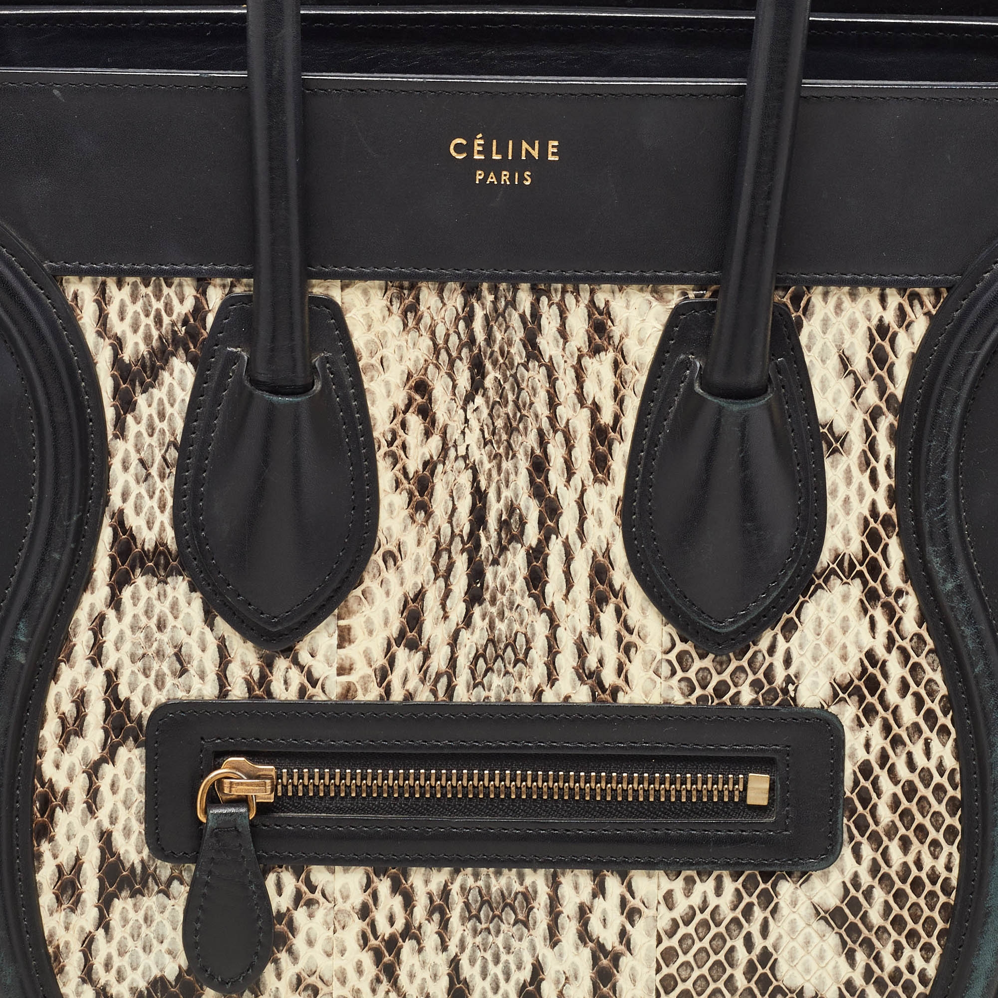 Celine Multicolor Leather And Snakeskin Micro Luggage Tote