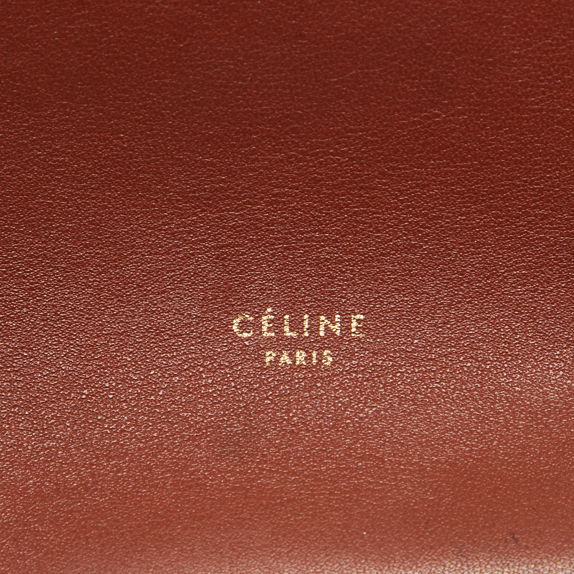 Celine Brown/Navy Blue Leather Hobo