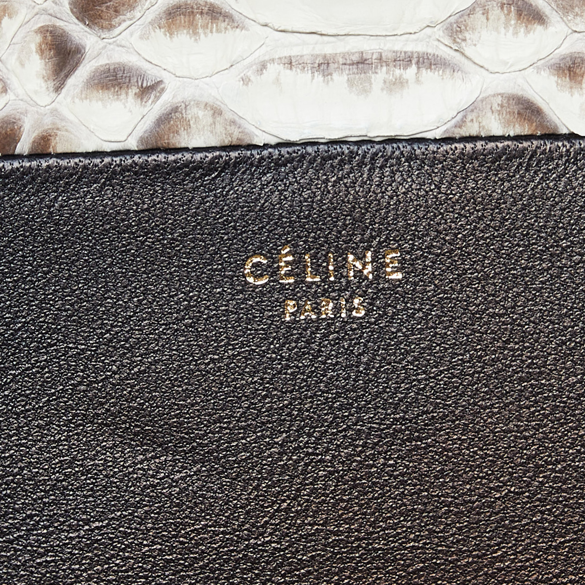 Celine Beige/Black Watersnake Leather And Leather Solo Zip Pouch