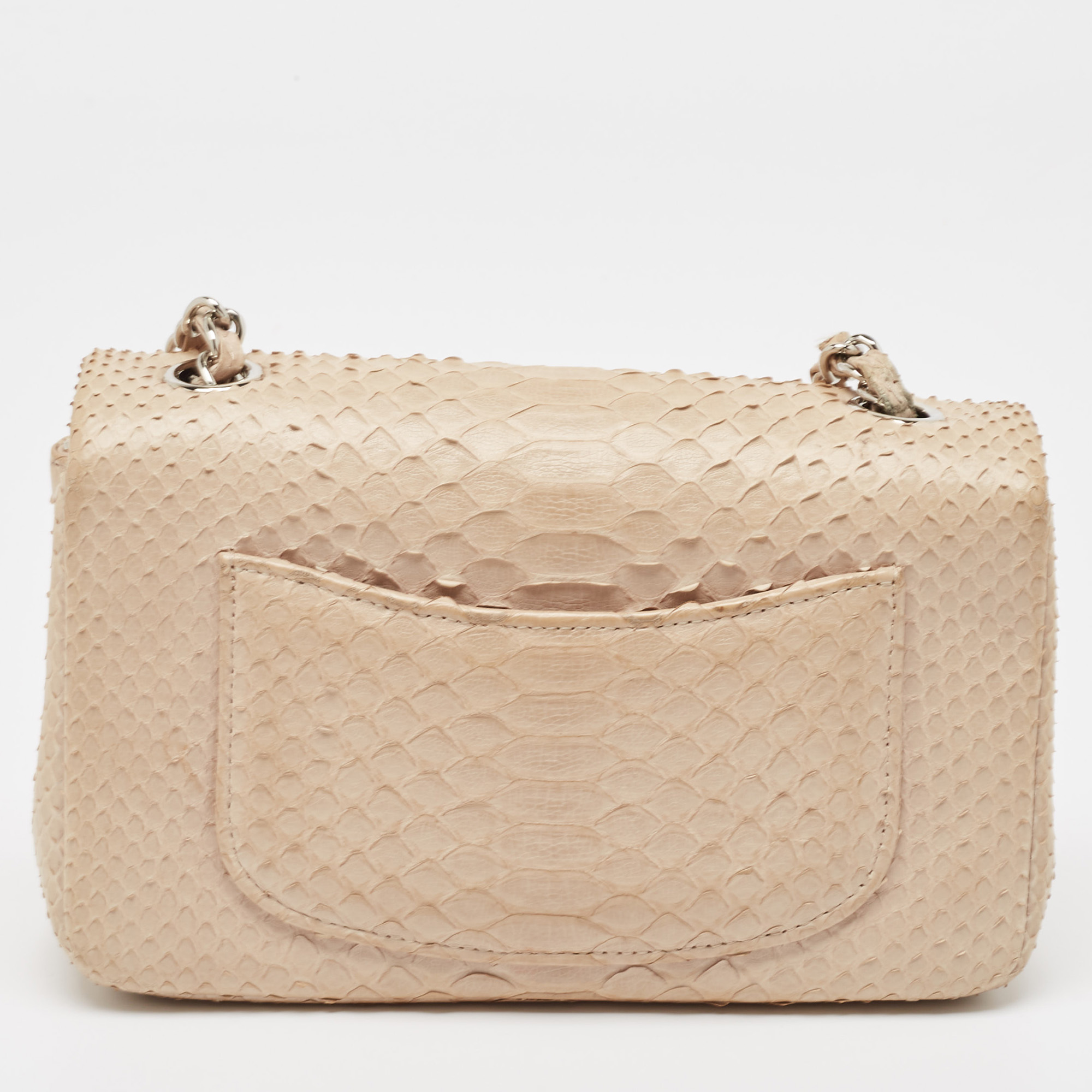 Chanel Beige Python Small Charm Single Flap Bag