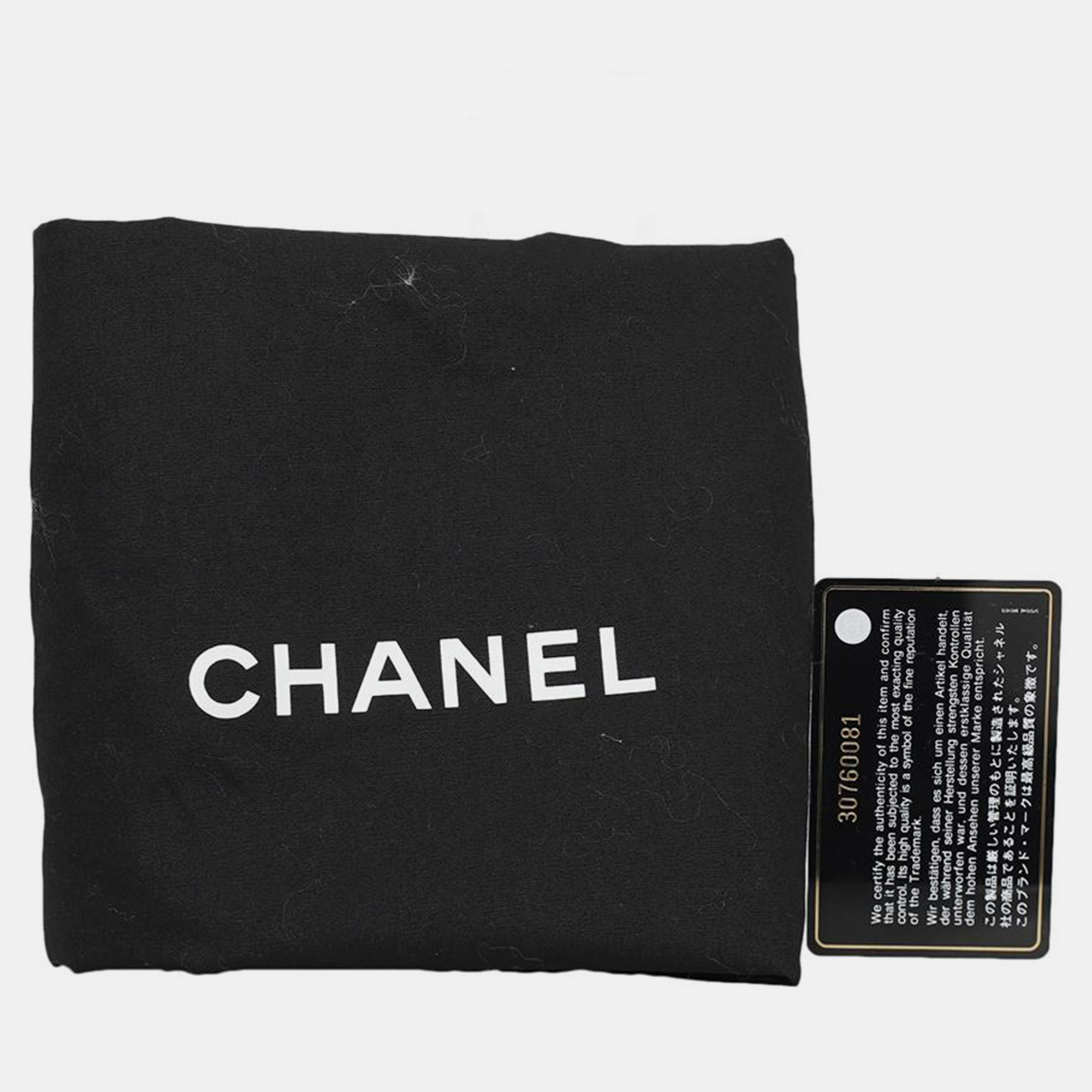 Chanel Small C19 Bag