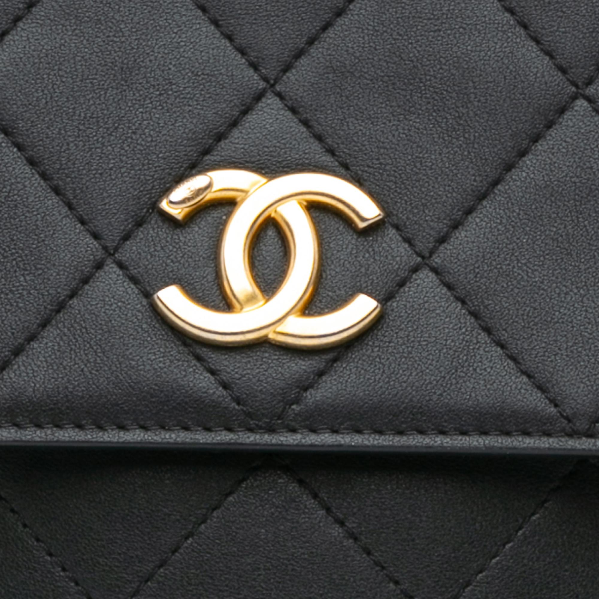 Chanel Black Small Quilted Calfskin Chain Hobo Flap