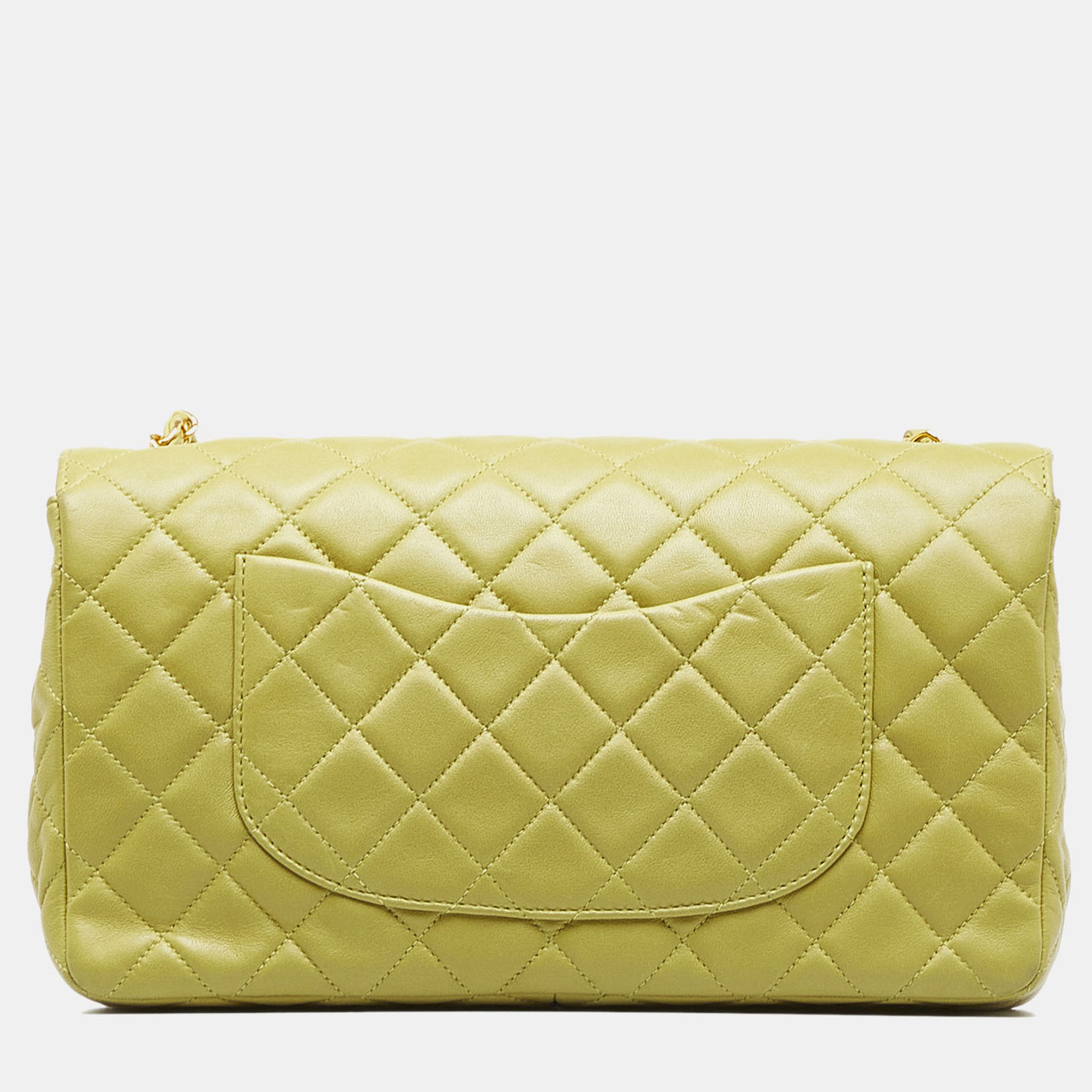 Chanel Green Lambskin Leather Medium Classic Lambskin Single Flap Bag