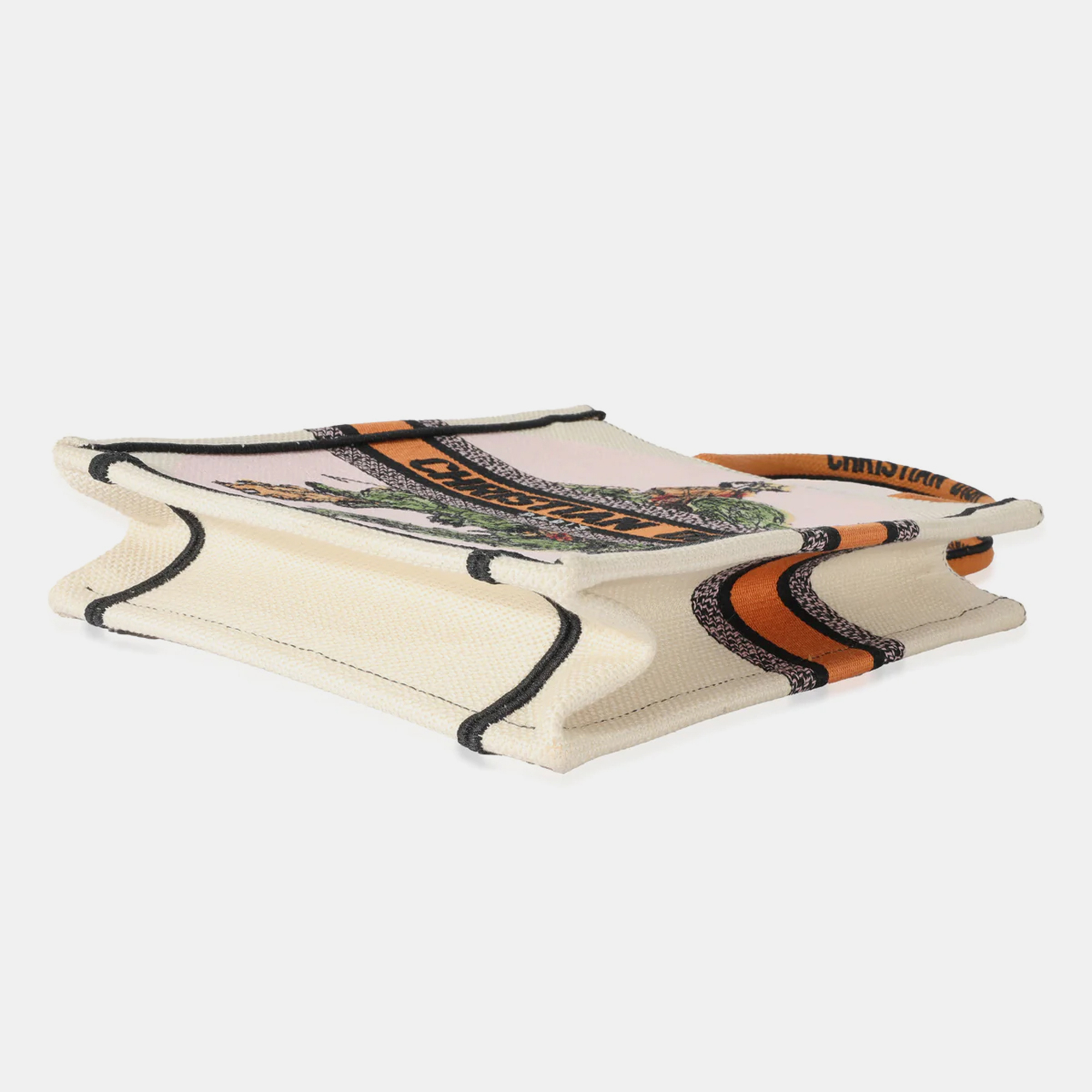 Dior Multicolor Vertical Book Tote