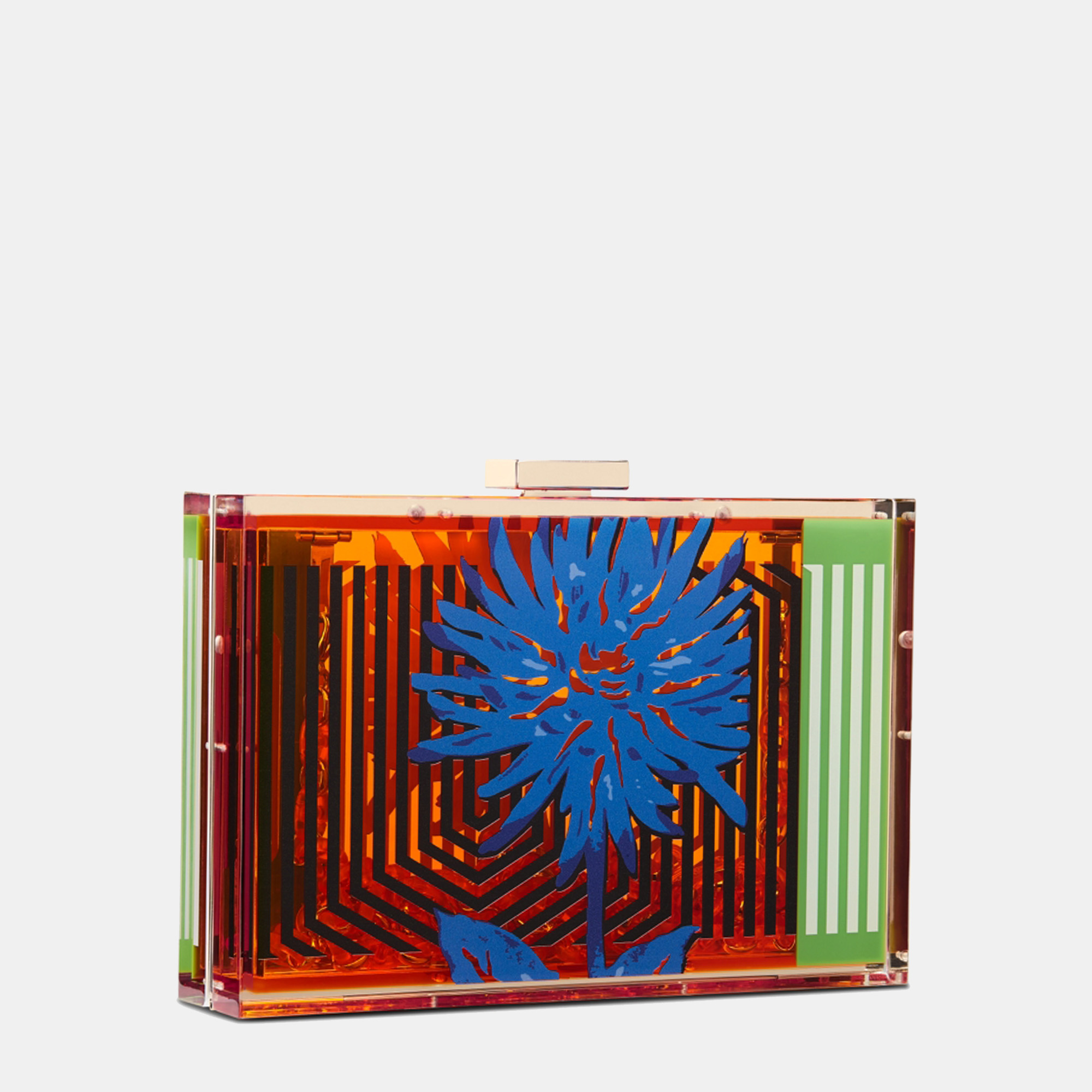 DIOR Bright Orange And Blue Transparent Resin With D-Flower Pop Print Minaudière Bag