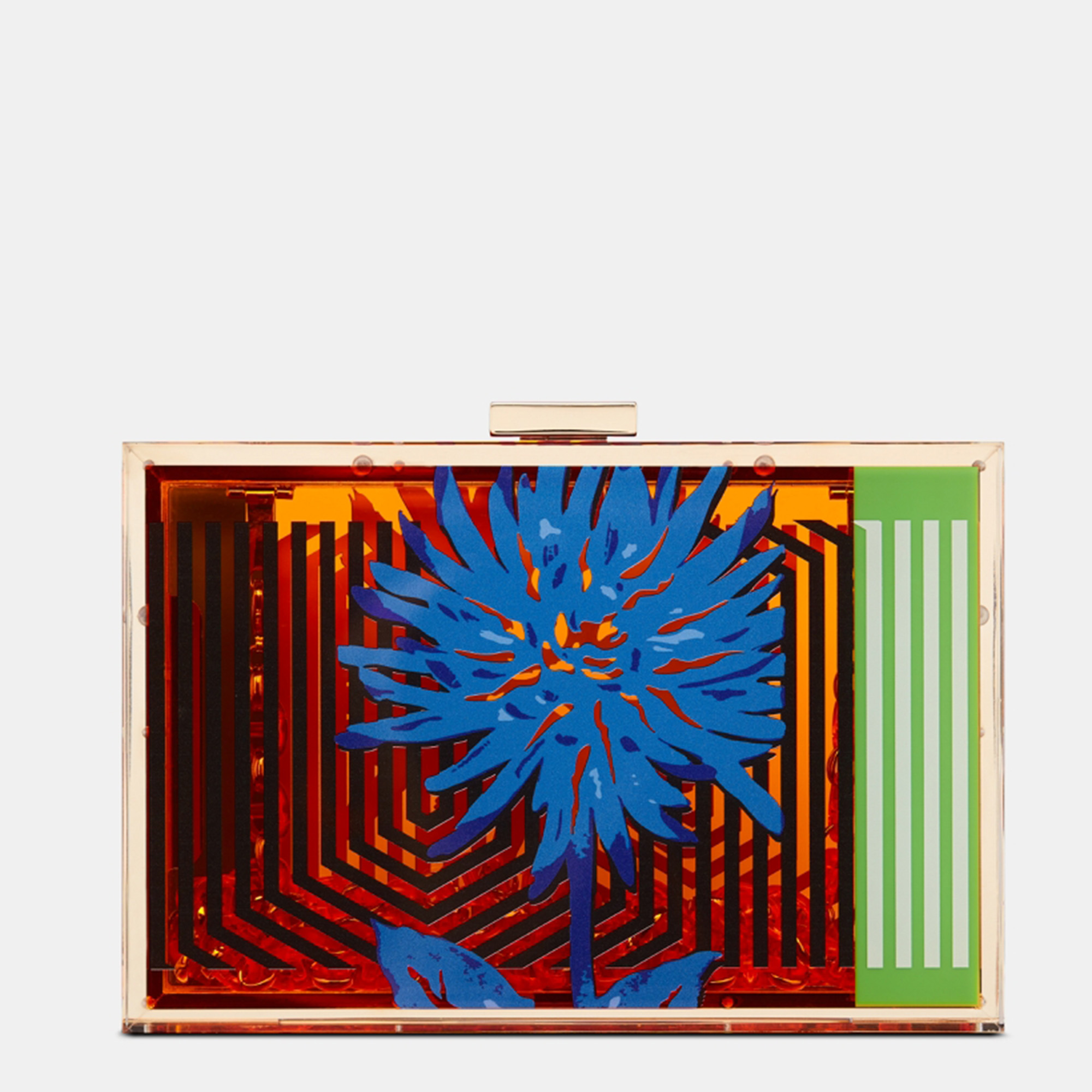 DIOR Bright Orange And Blue Transparent Resin With D-Flower Pop Print Minaudière Bag