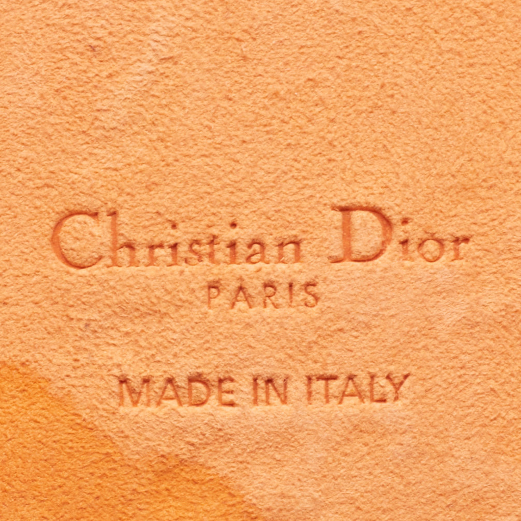 Dior Orange/White Leather Dior Travel IPhone 13 Pro Case