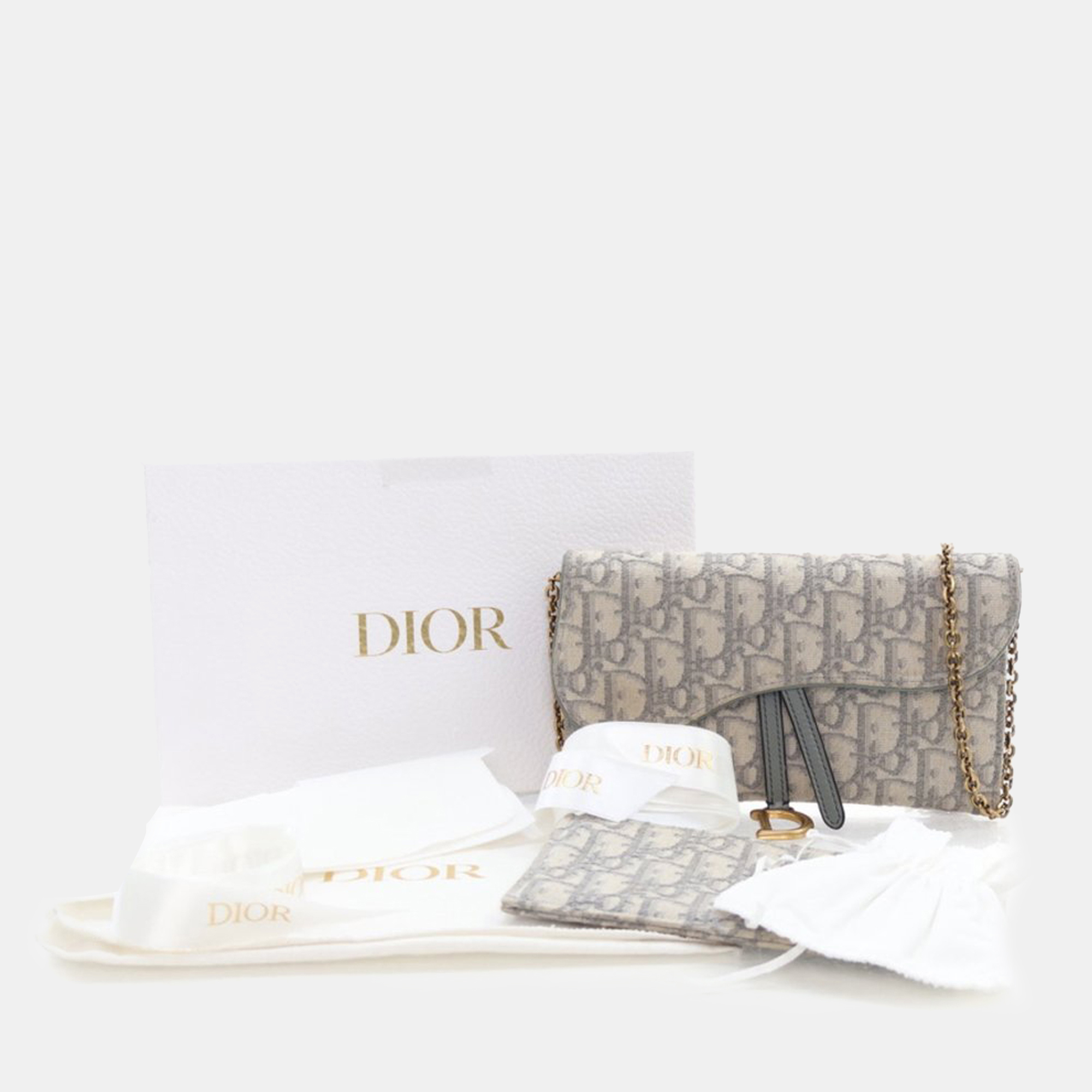 Dior Grey Canvas Oblique Saddle Wallet On Chain