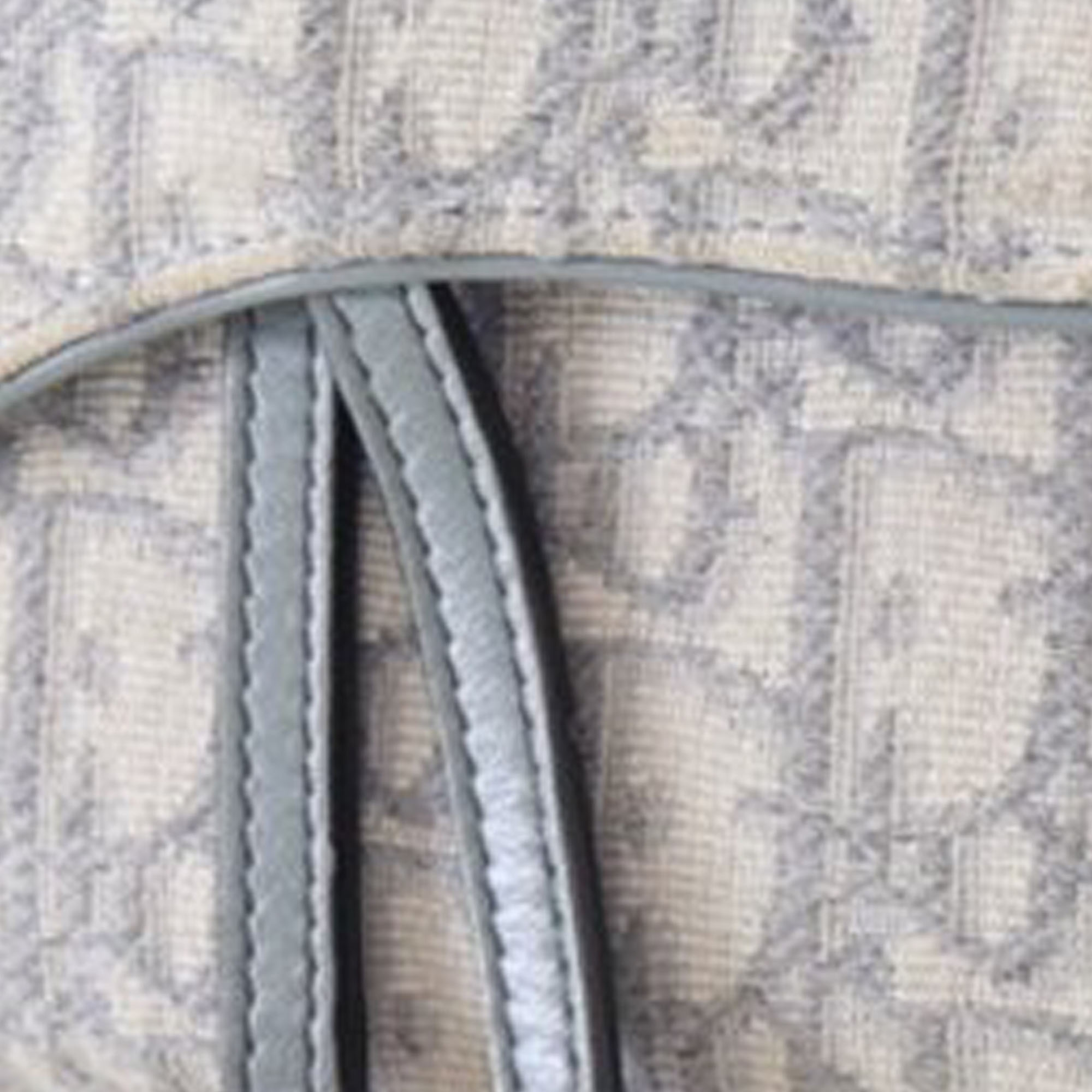 Dior Grey Canvas Oblique Saddle Wallet On Chain