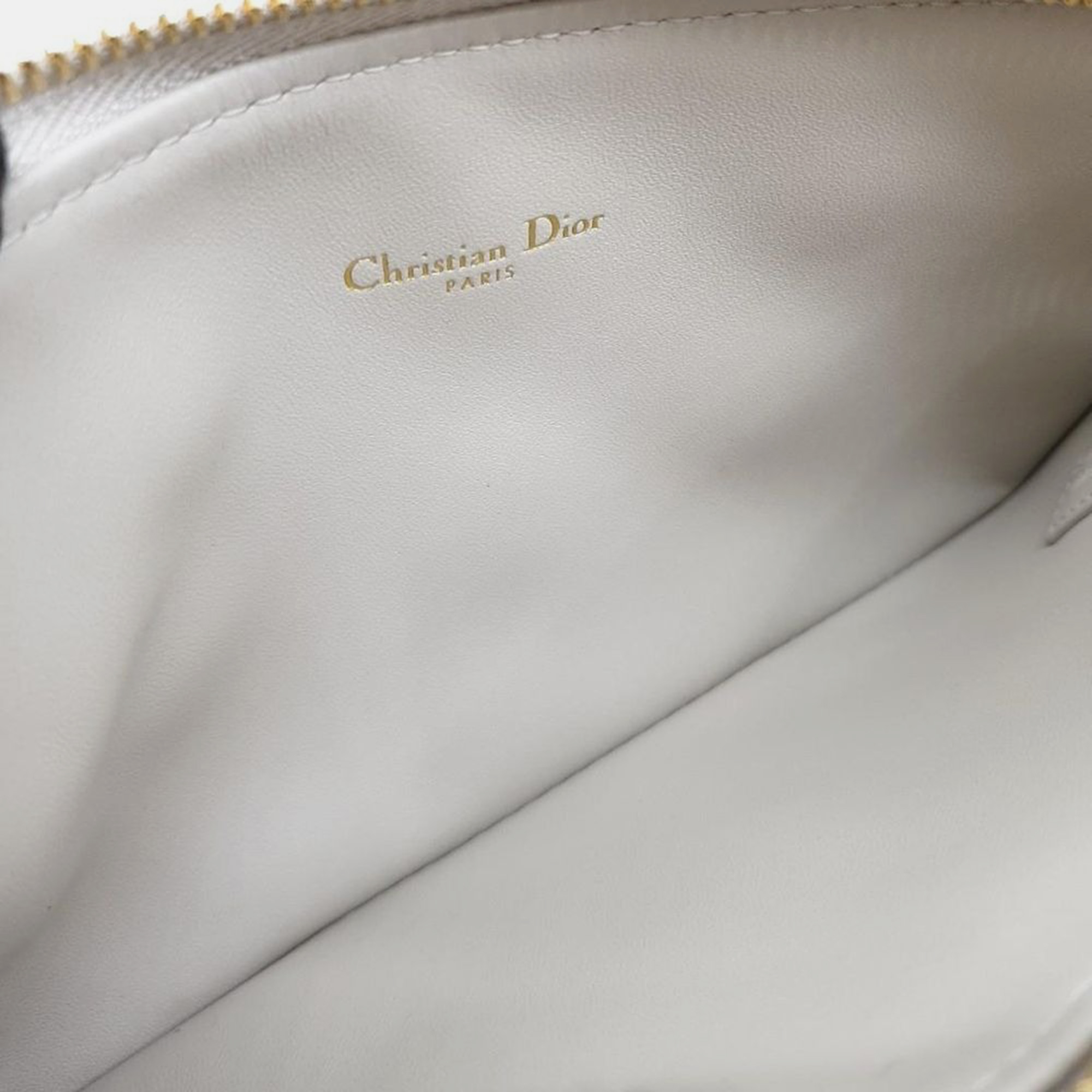 Christian Dior Caro Pouch