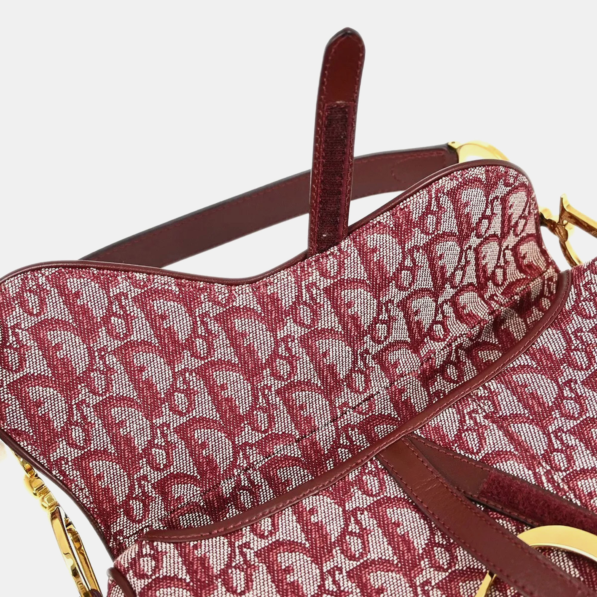 Christian Dior Bordeaux Trotter Saddle Handbag