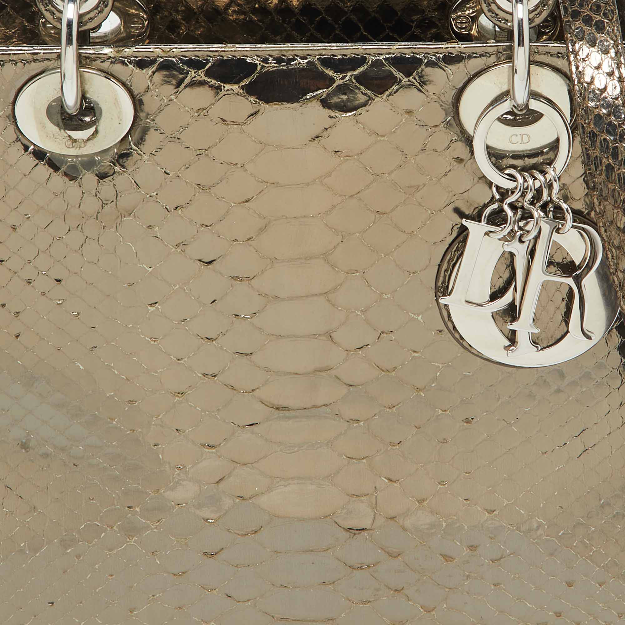 Dior Metallic Python Medium Lady Dior Tote