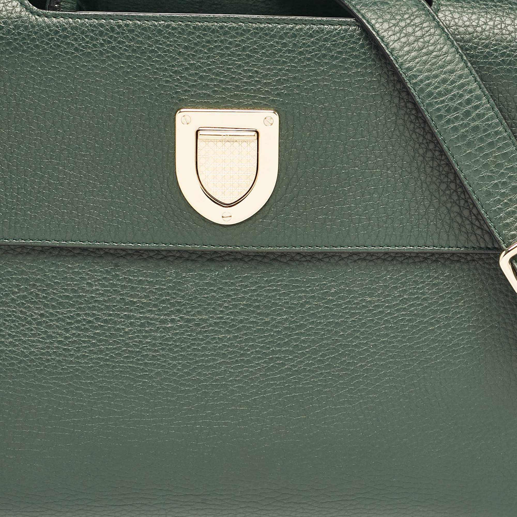 Dior Green Leather Medium Diorever Tote