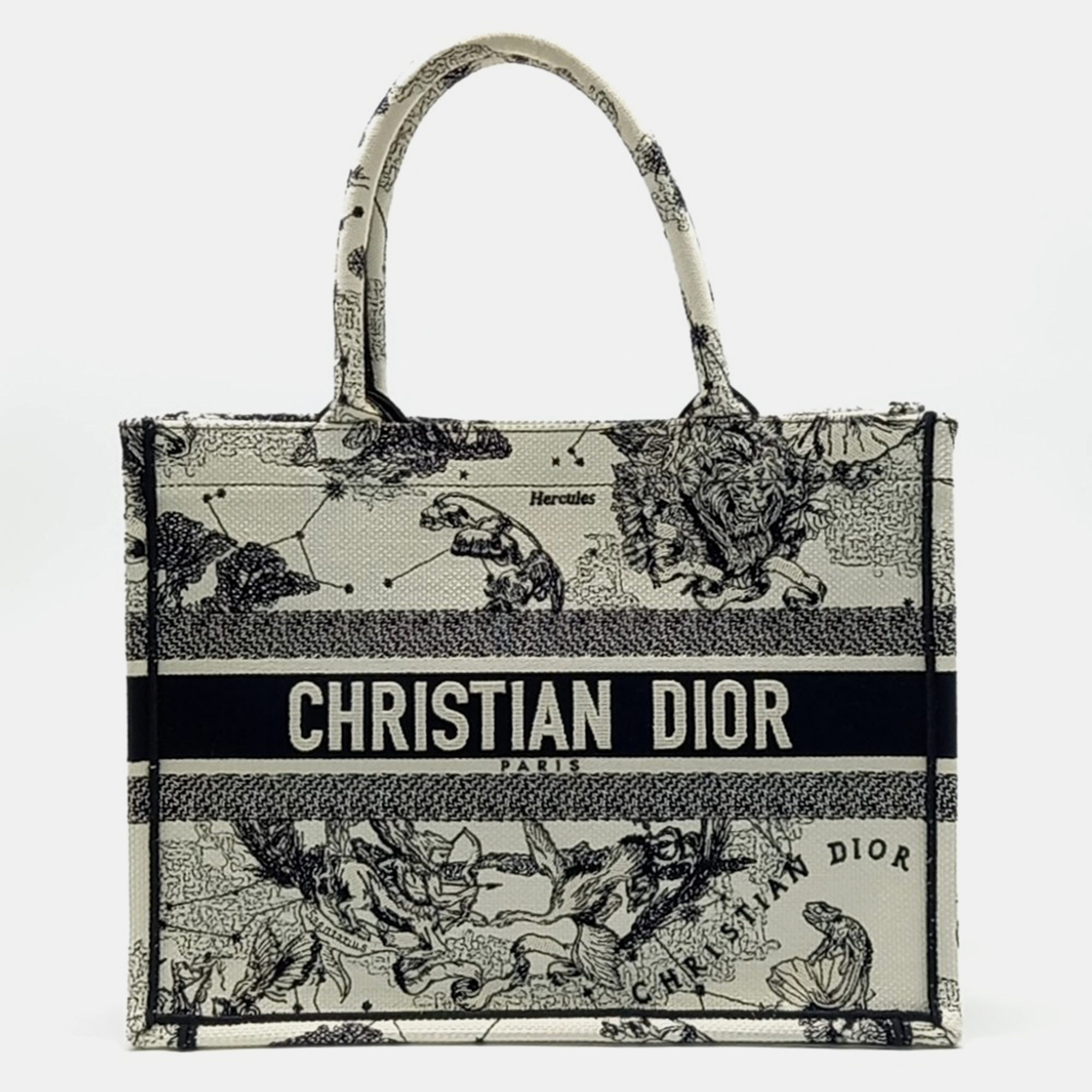 Dior Book Tote Bag