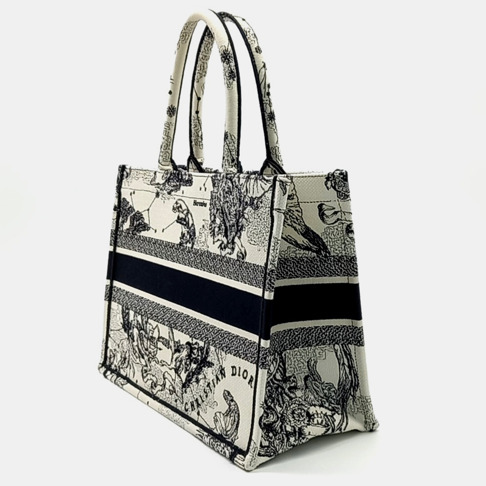 Dior Book Tote Bag