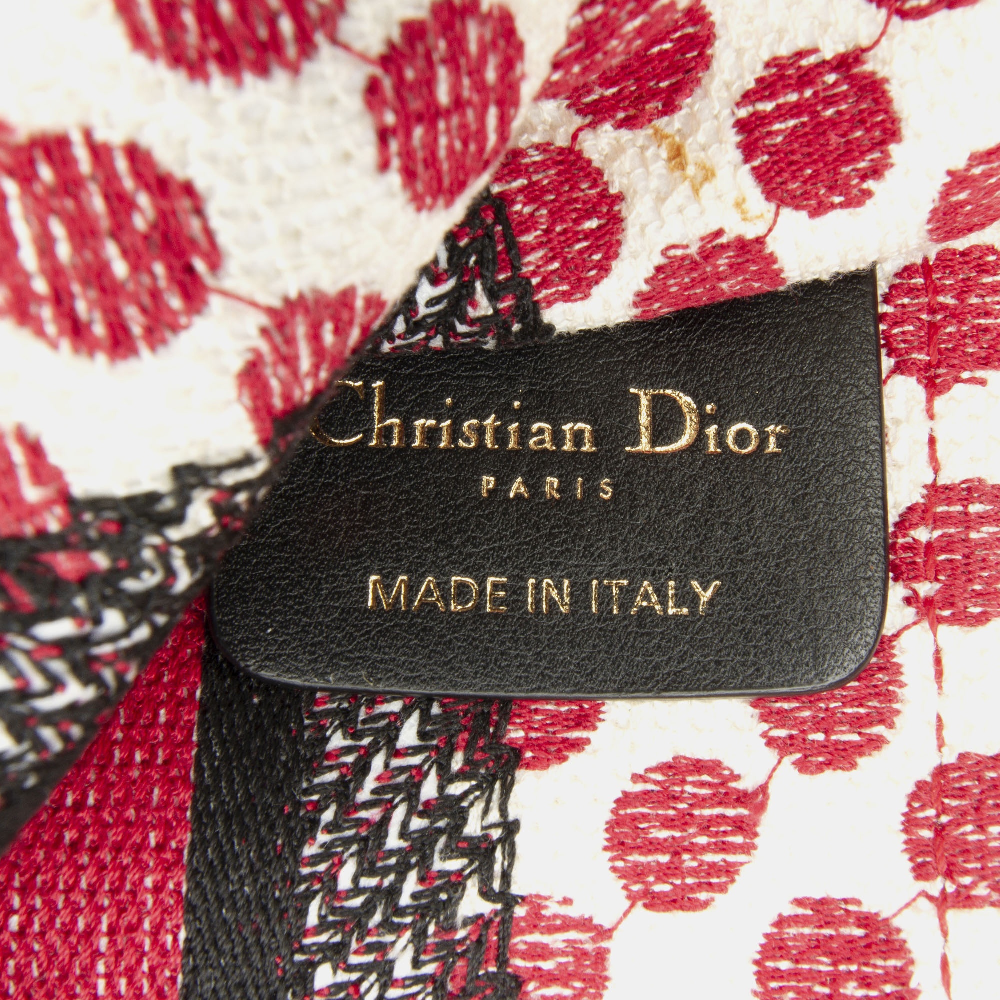 Dior Red Canvas Mini Dioramour Book Tote Bag