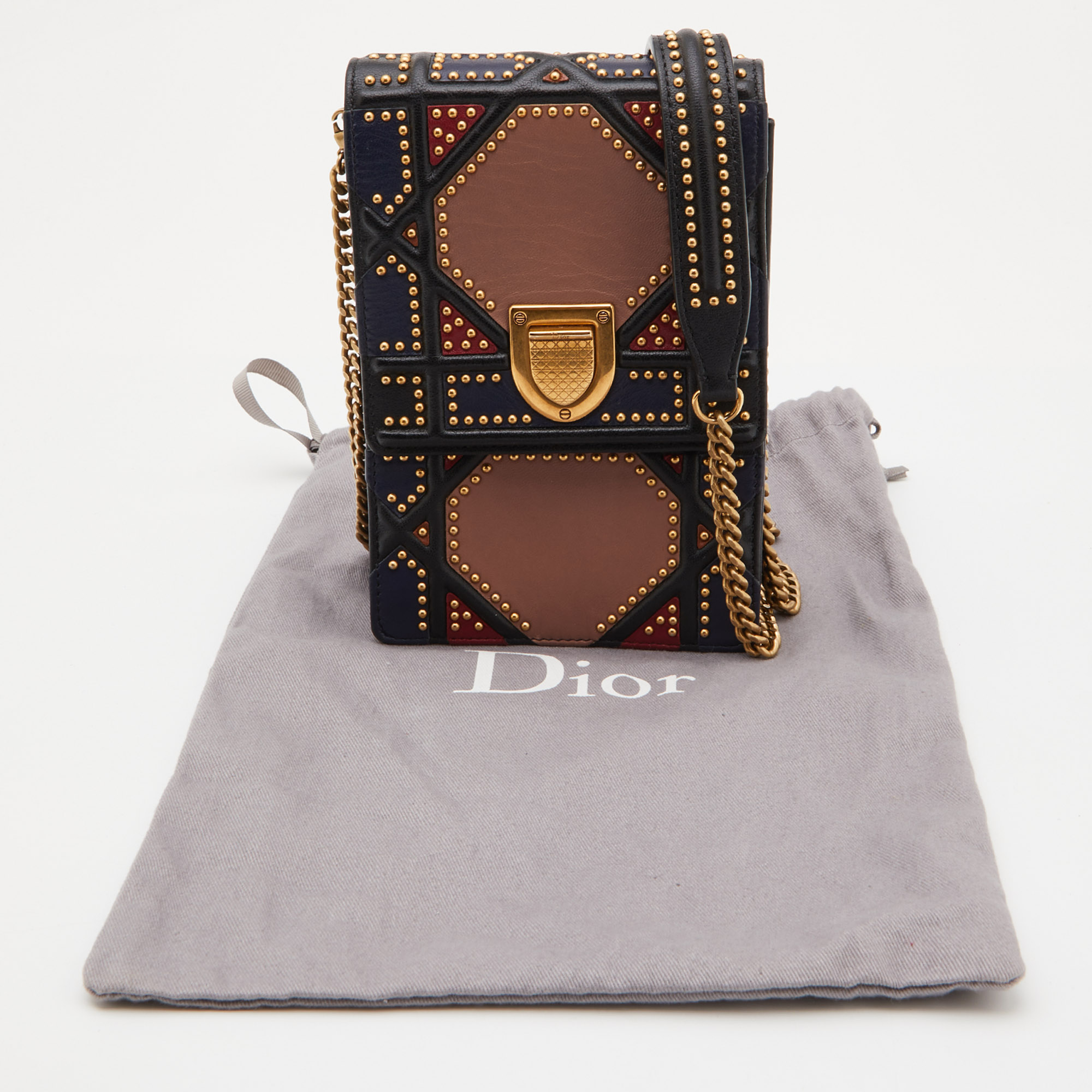 Dior Multicolor Leather Studded Diorama Vertical Chain Clutch