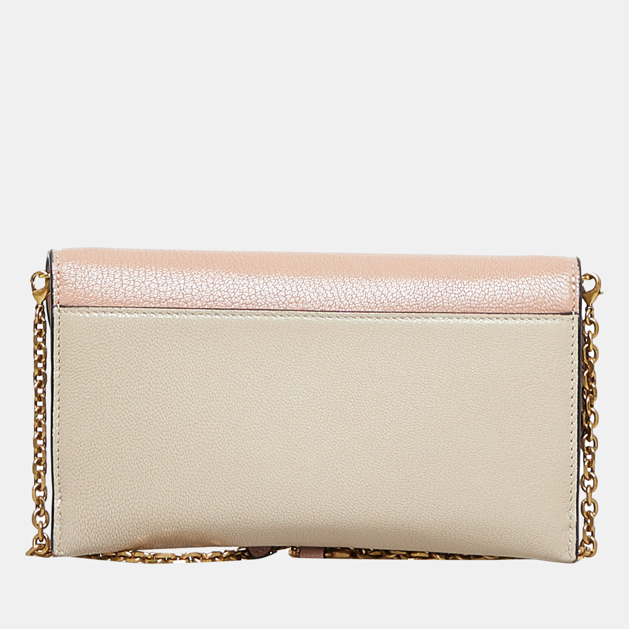 Dior Pink Saddle Wallet On Chain