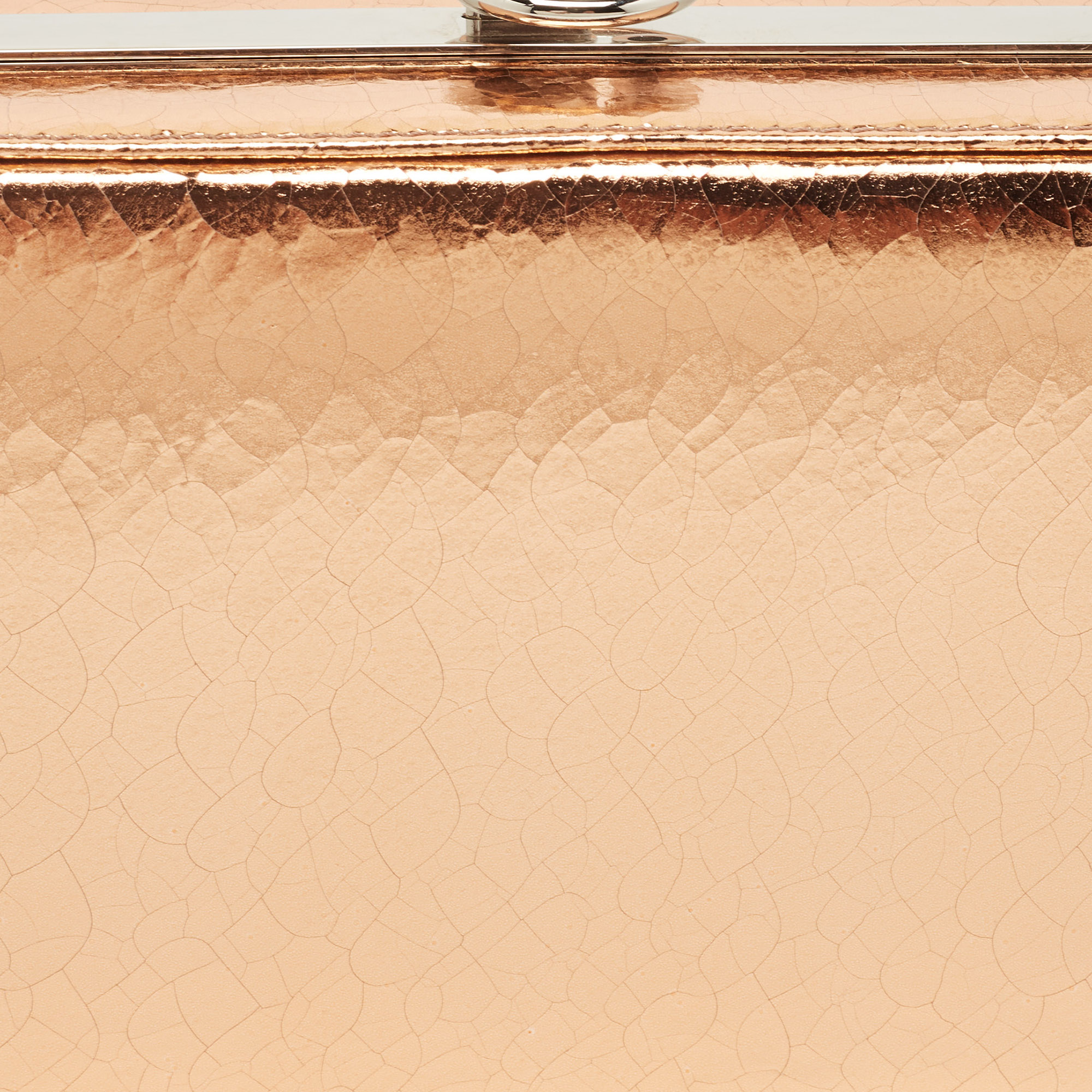 Dior Bronze Foil Leather Frame Clutch