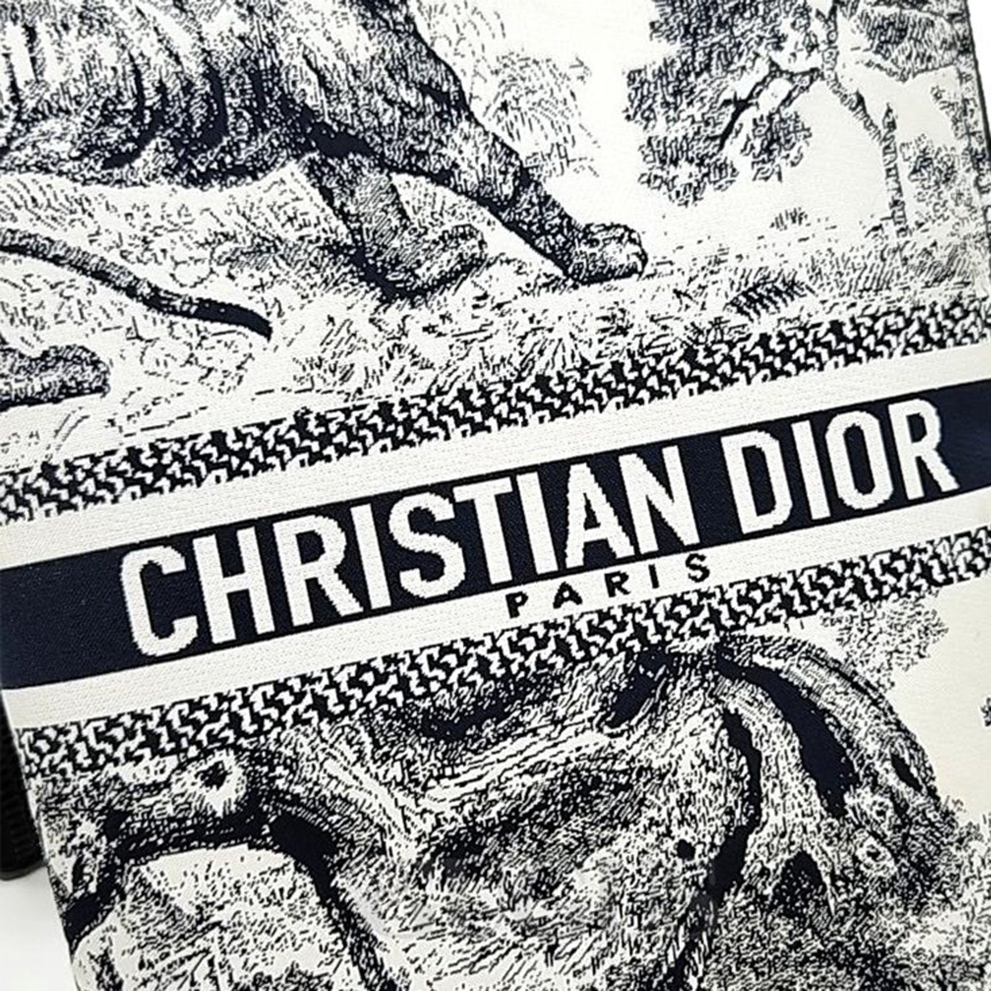 Christian Dior Travel Multifunctional Pouch