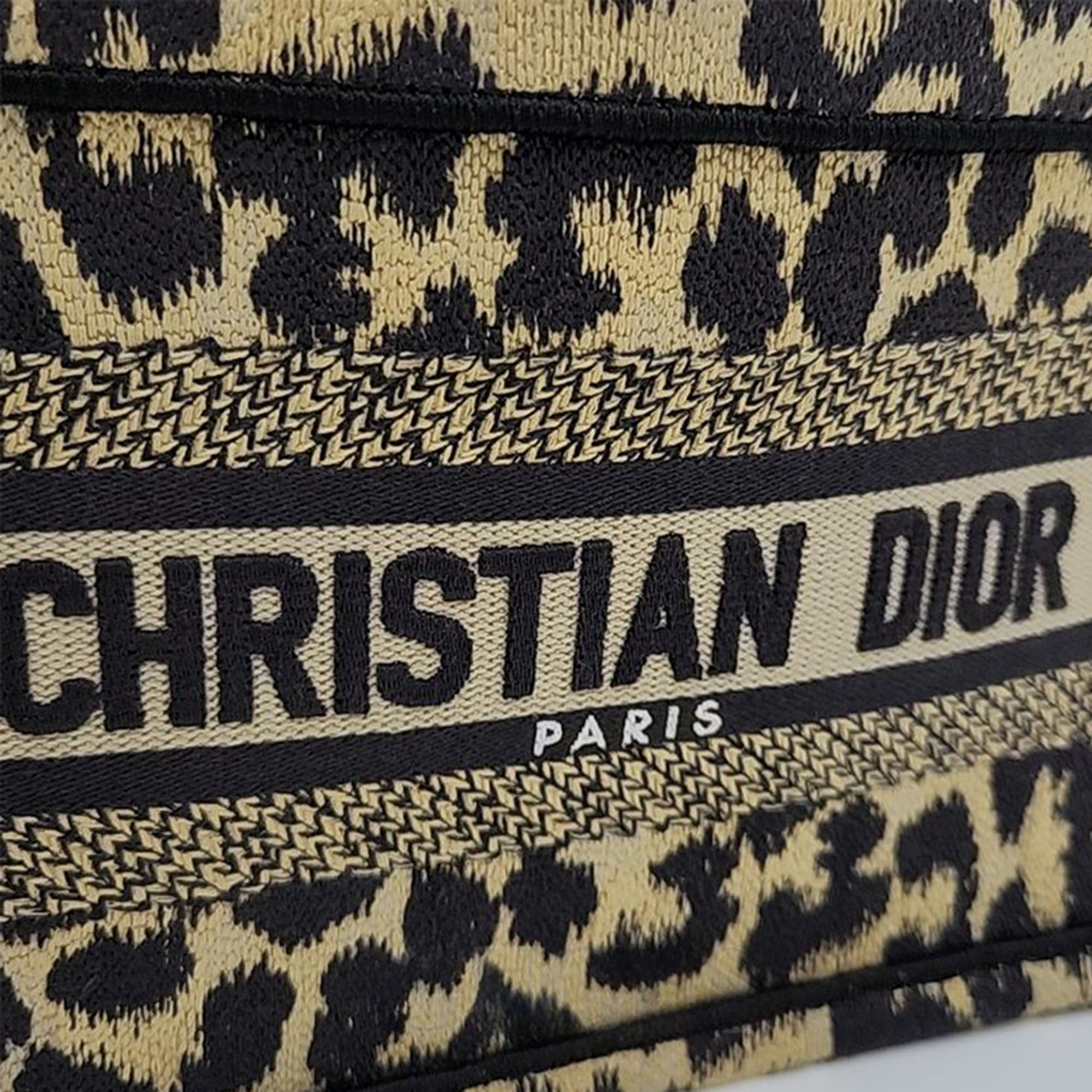 Christian Dior Oblique Mini Book Tote Bag