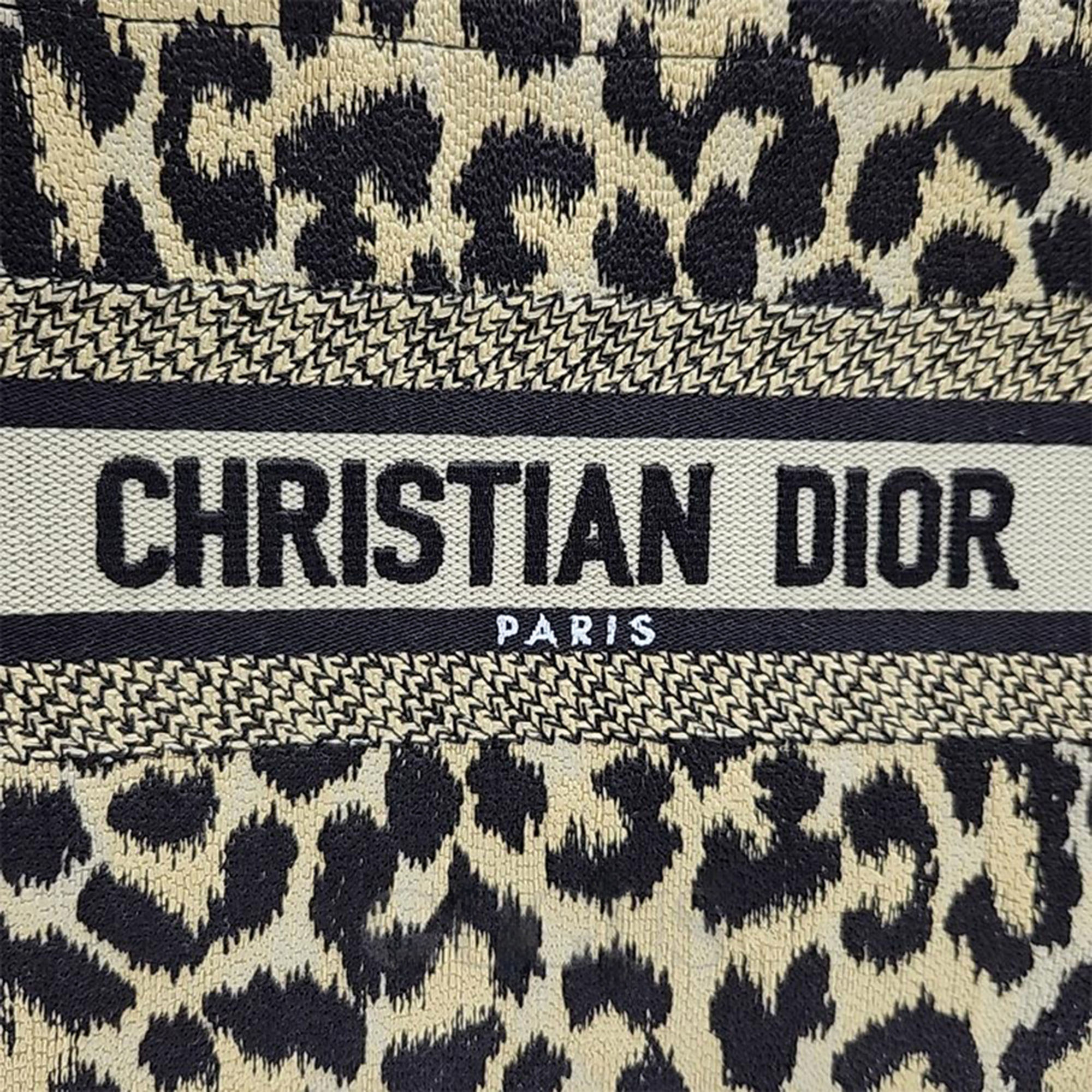 Christian Dior Book Tote Bag 26