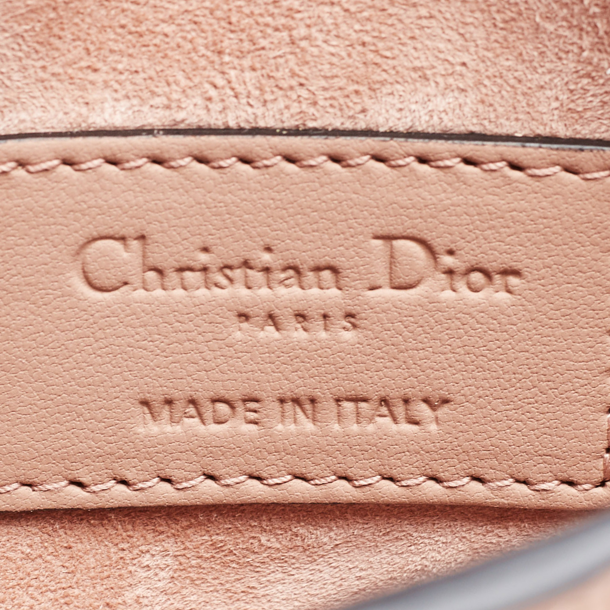 Dior Blush Ultra Matte Leather Saddle Convertible Belt Bag