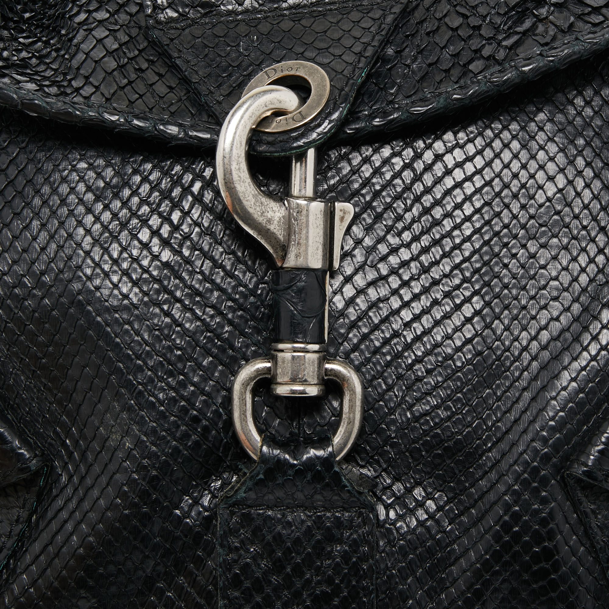 Dior Black Python Limited Edition 096 Rebelle Hobo