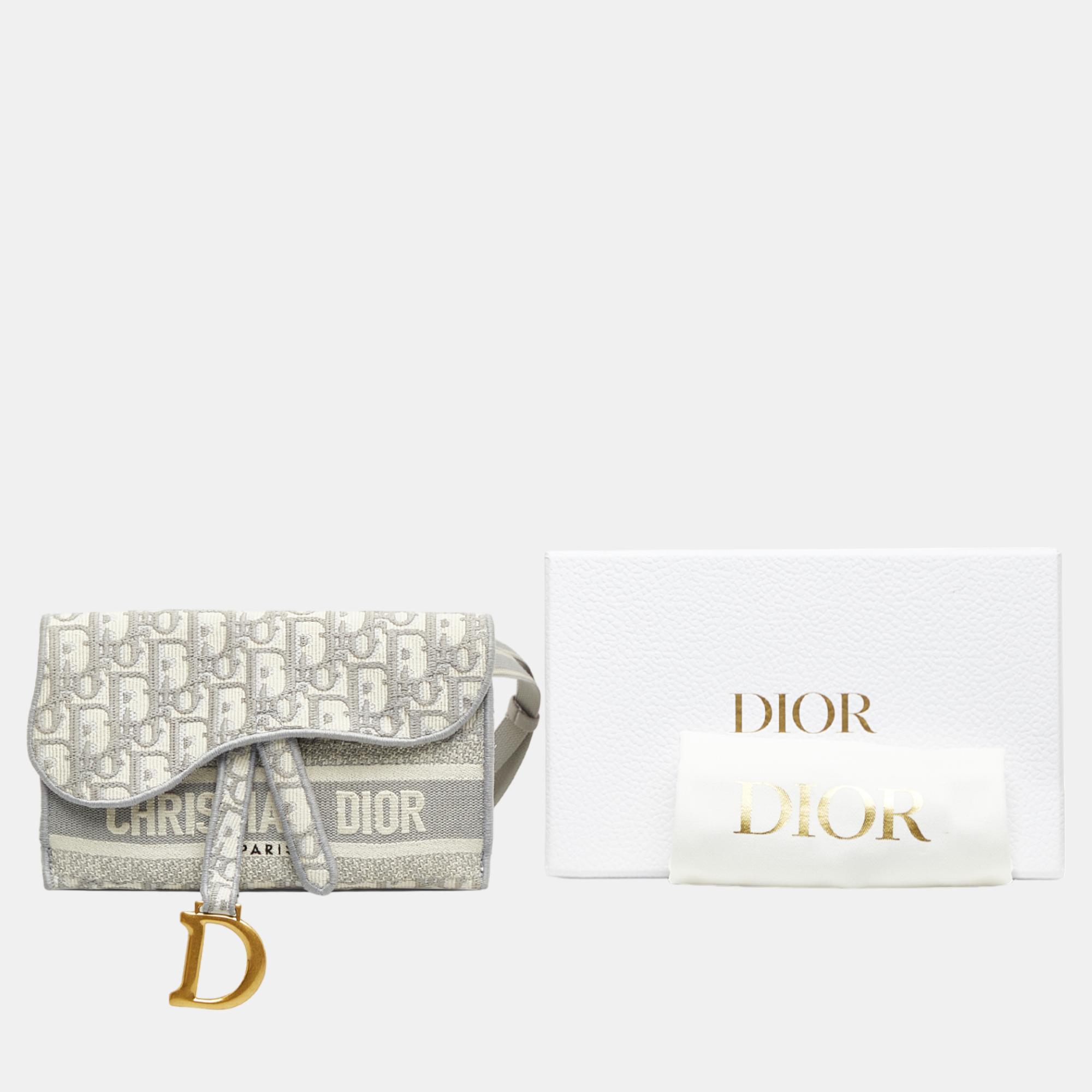 Dior Grey Oblique Saddle Slim Belt Pouch