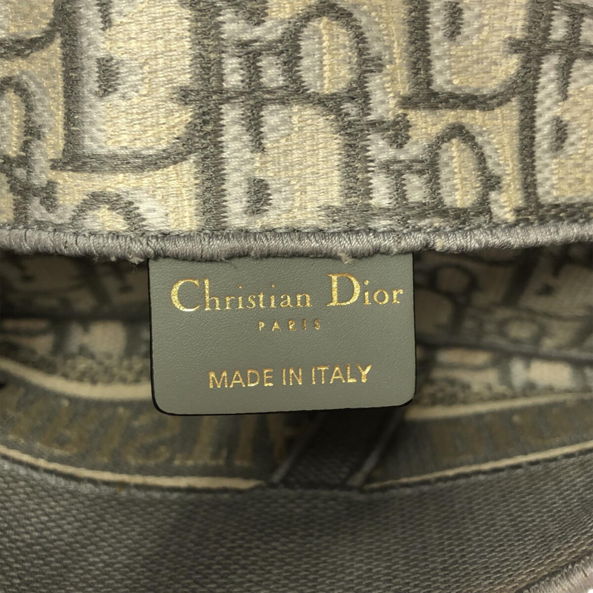 Dior Grey Oblique Saddle Slim Belt Pouch