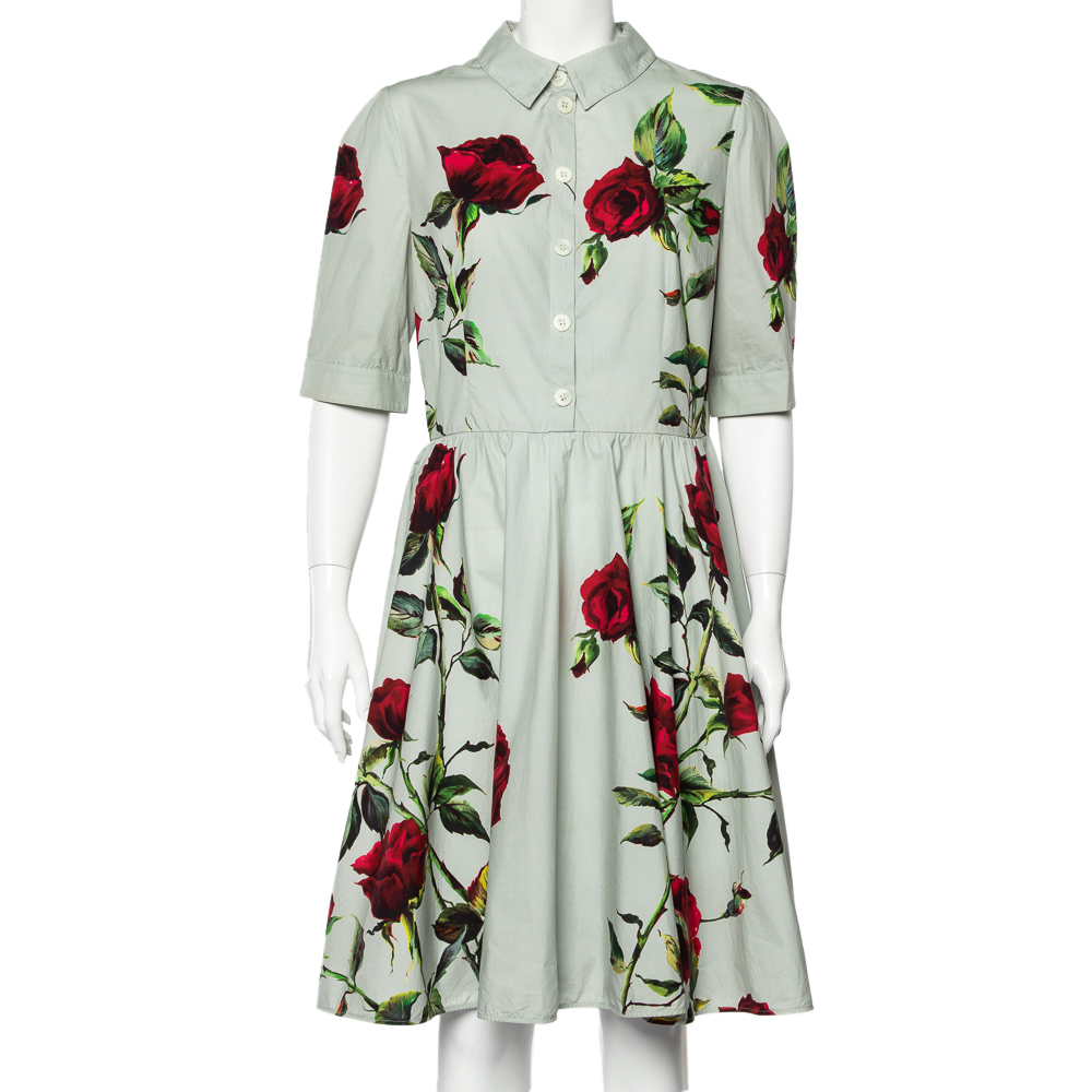Dolce & Gabbana Light Green Rose Printed Cotton Flared Midi Dress XL