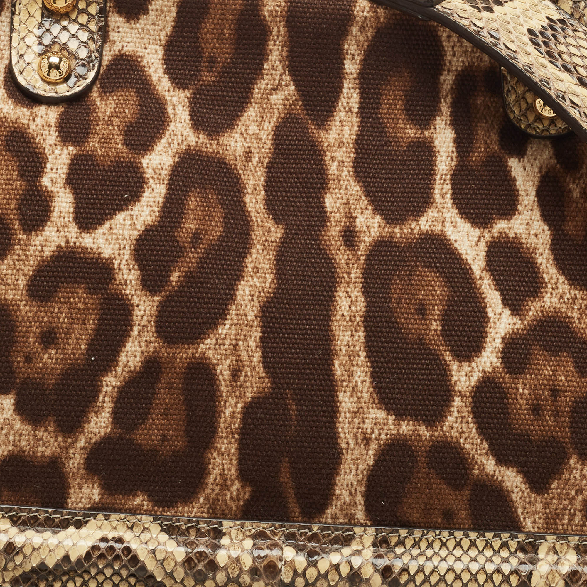Dolce & Gabbana Brown Leopard Print Canvas & Python Skin Leather Sicily Shoulder Bag