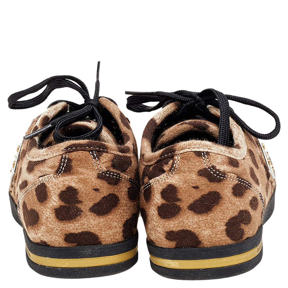 Dolce & Gabbana Brown Leopard Print Knit Fabric Low Top Sneakers Size 37
