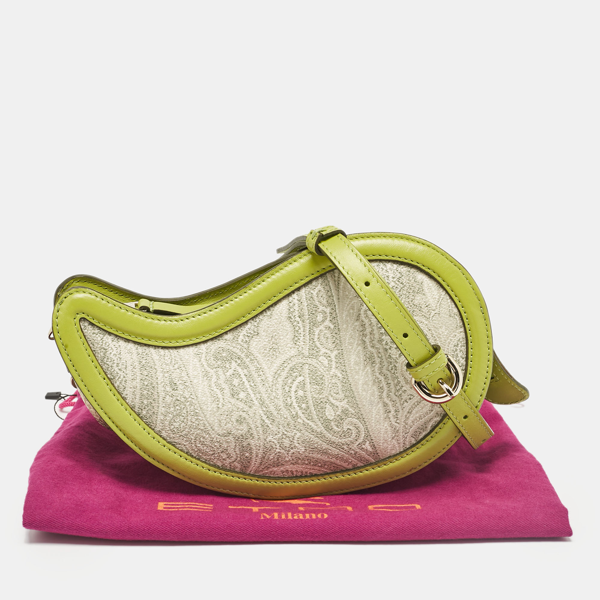 Etro Green/Grey Paisley Coated Canvas And Python Embossed Crossbody Bag