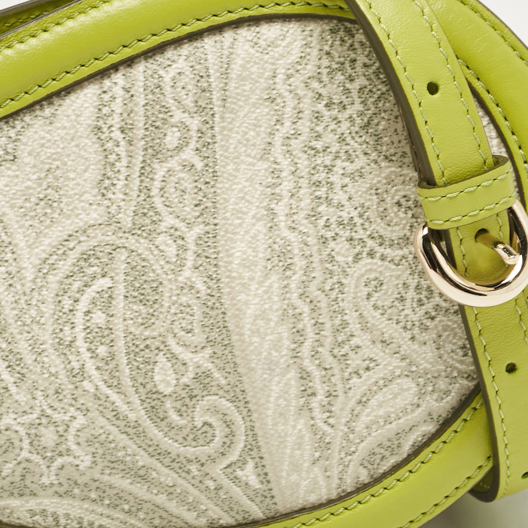 Etro Green/Grey Paisley Coated Canvas And Python Embossed Crossbody Bag