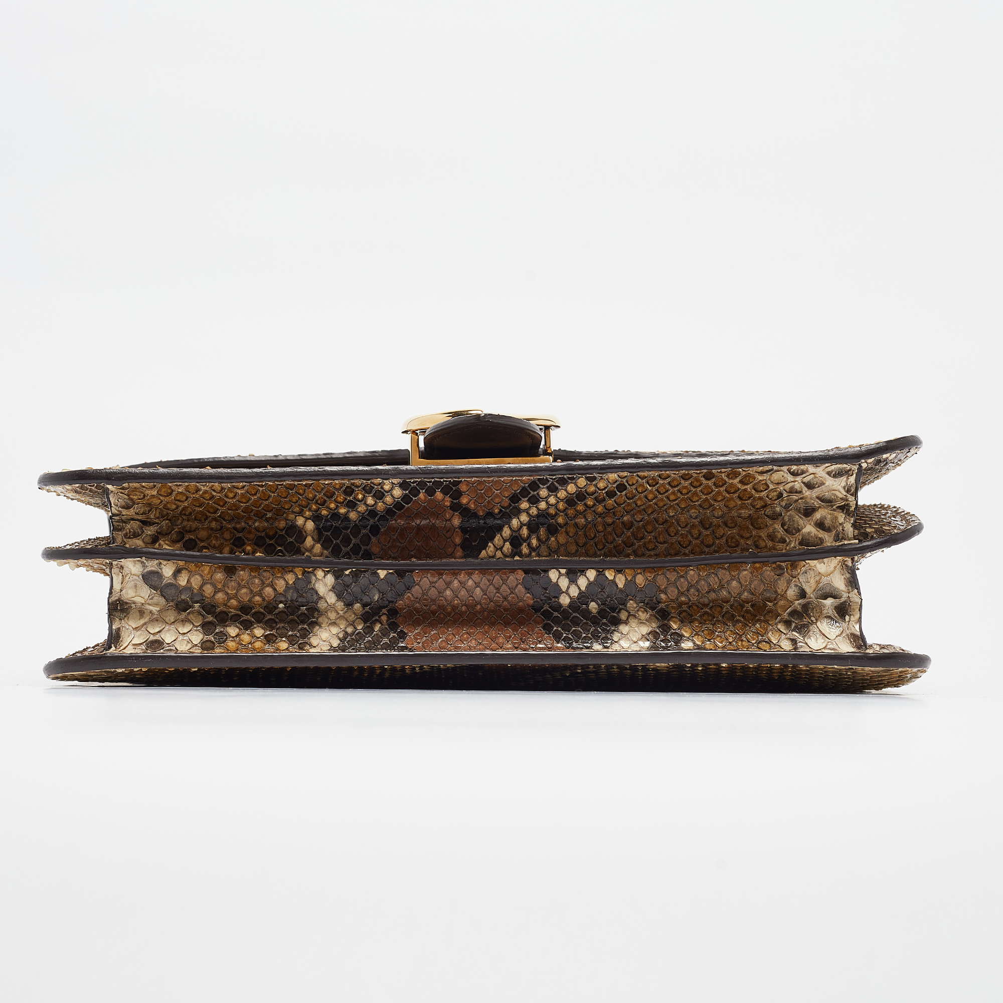 Gucci Multicolor Python Medium 1973 Flap Shoulder Bag