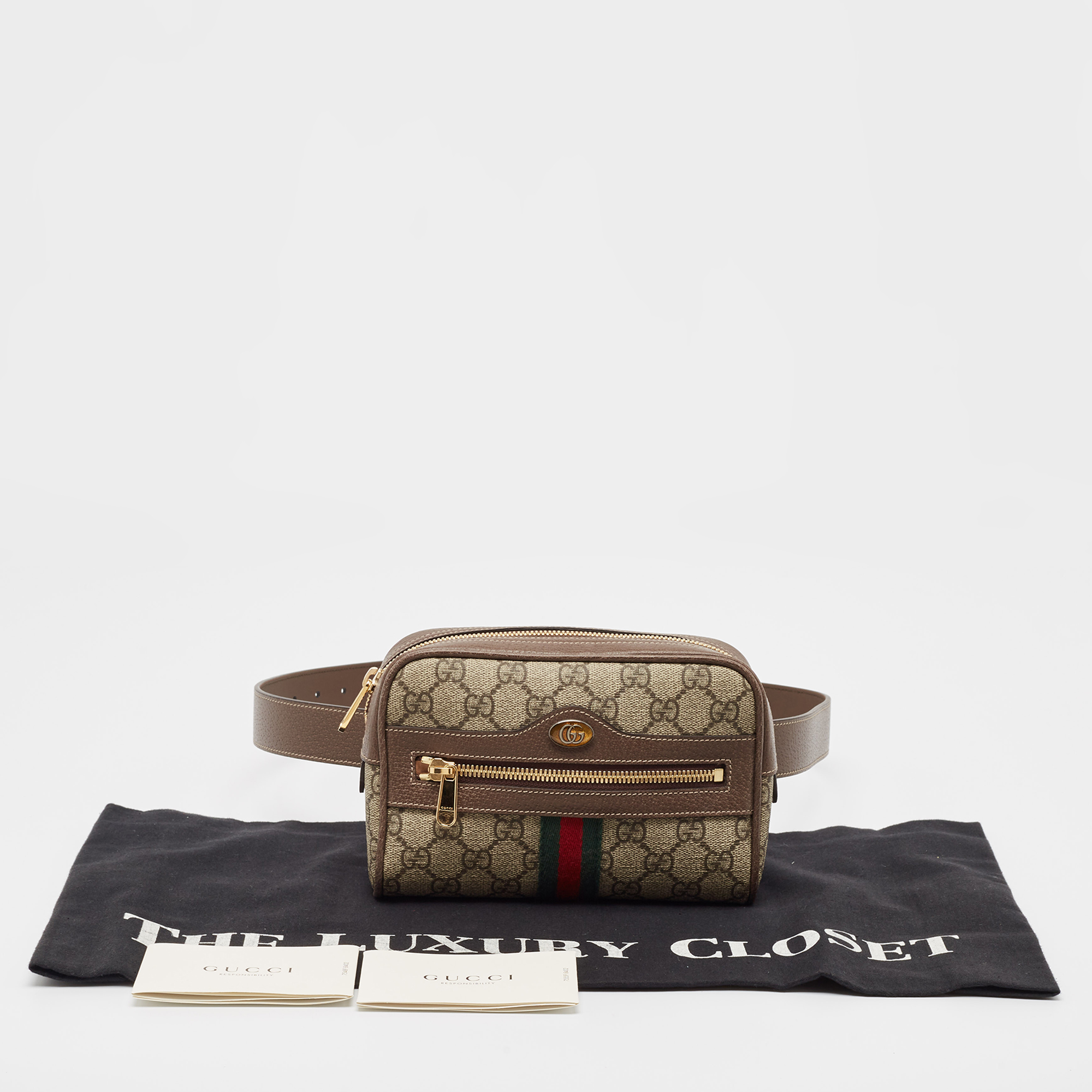 Gucci Beige/Ebony GG Supreme Canvas And Leather Small Ophidia Belt Bag