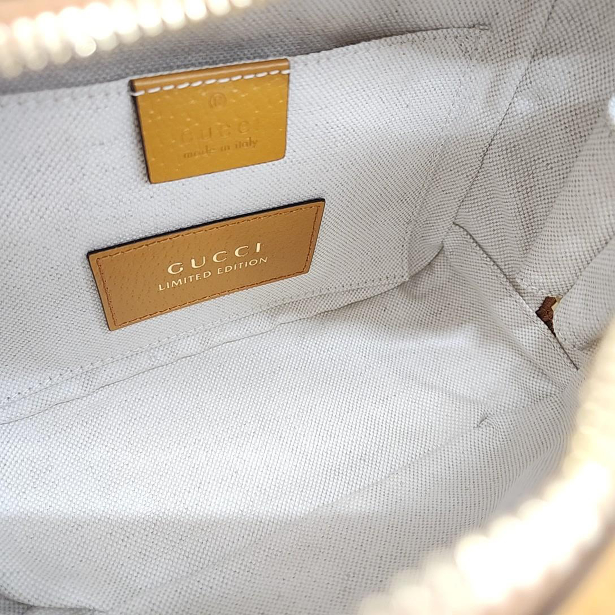 Gucci X Kai Ophidia GG Mini Camera Bag