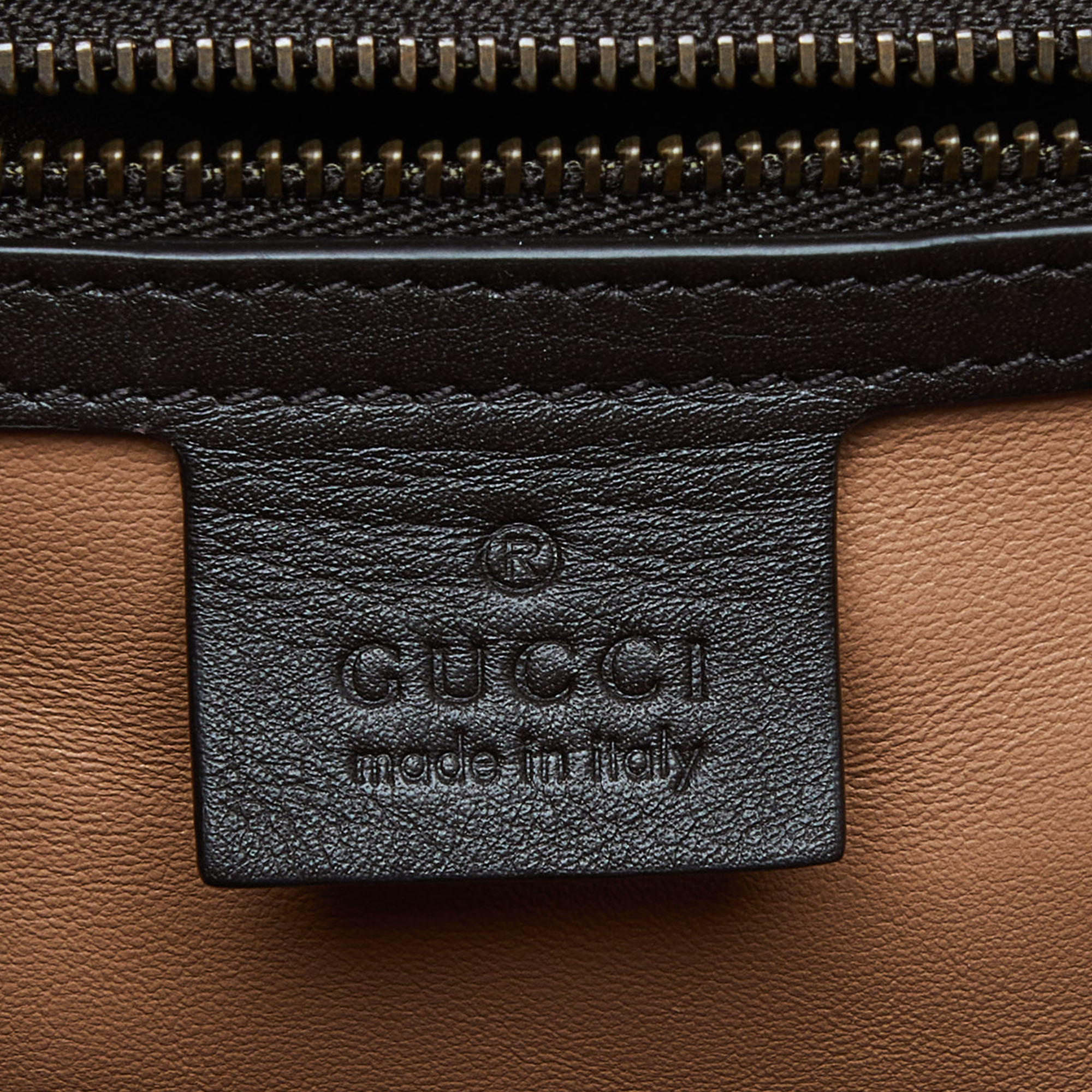 Gucci Brown Watersnake Leather Osiride Top Handle Bag