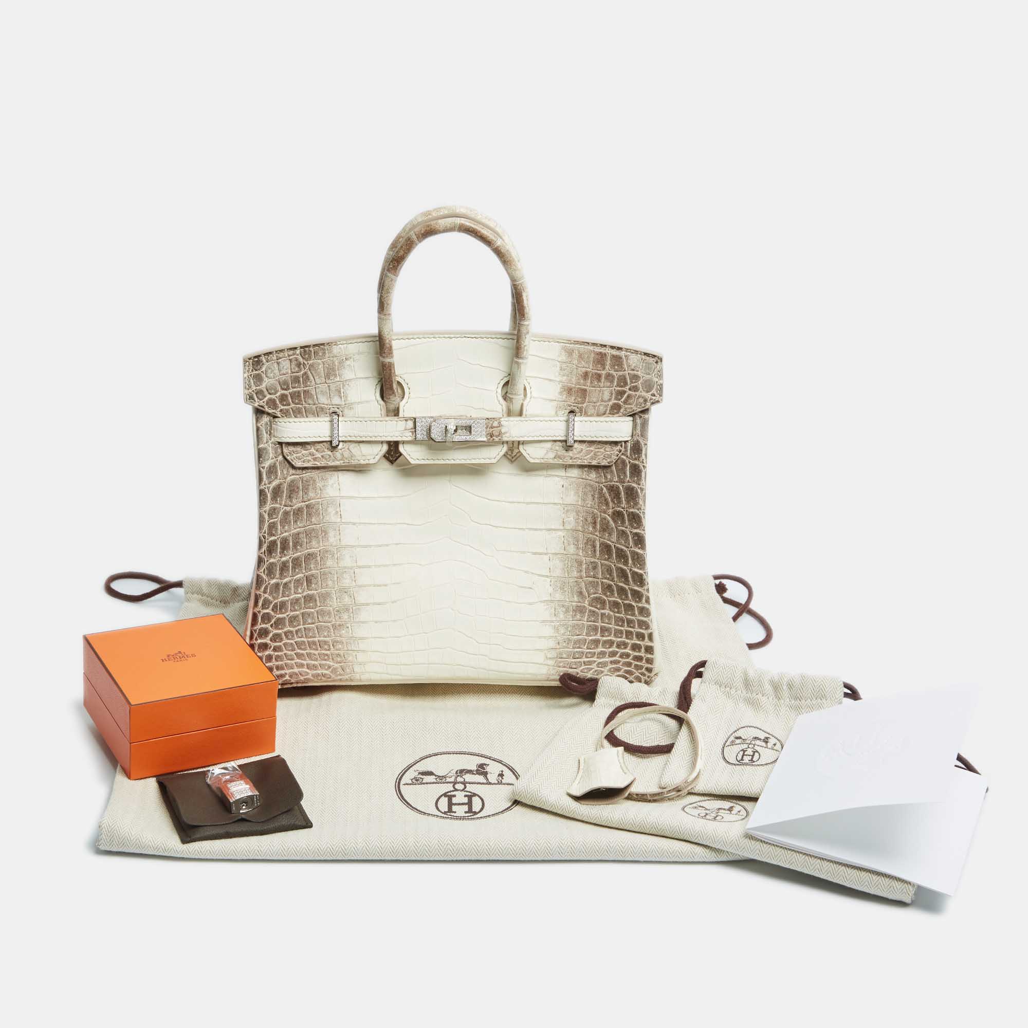 Hermès Blanc Crocodile Niloticus Himalaya 18K White Gold Encrusted Diamond Birkin 25 Bag