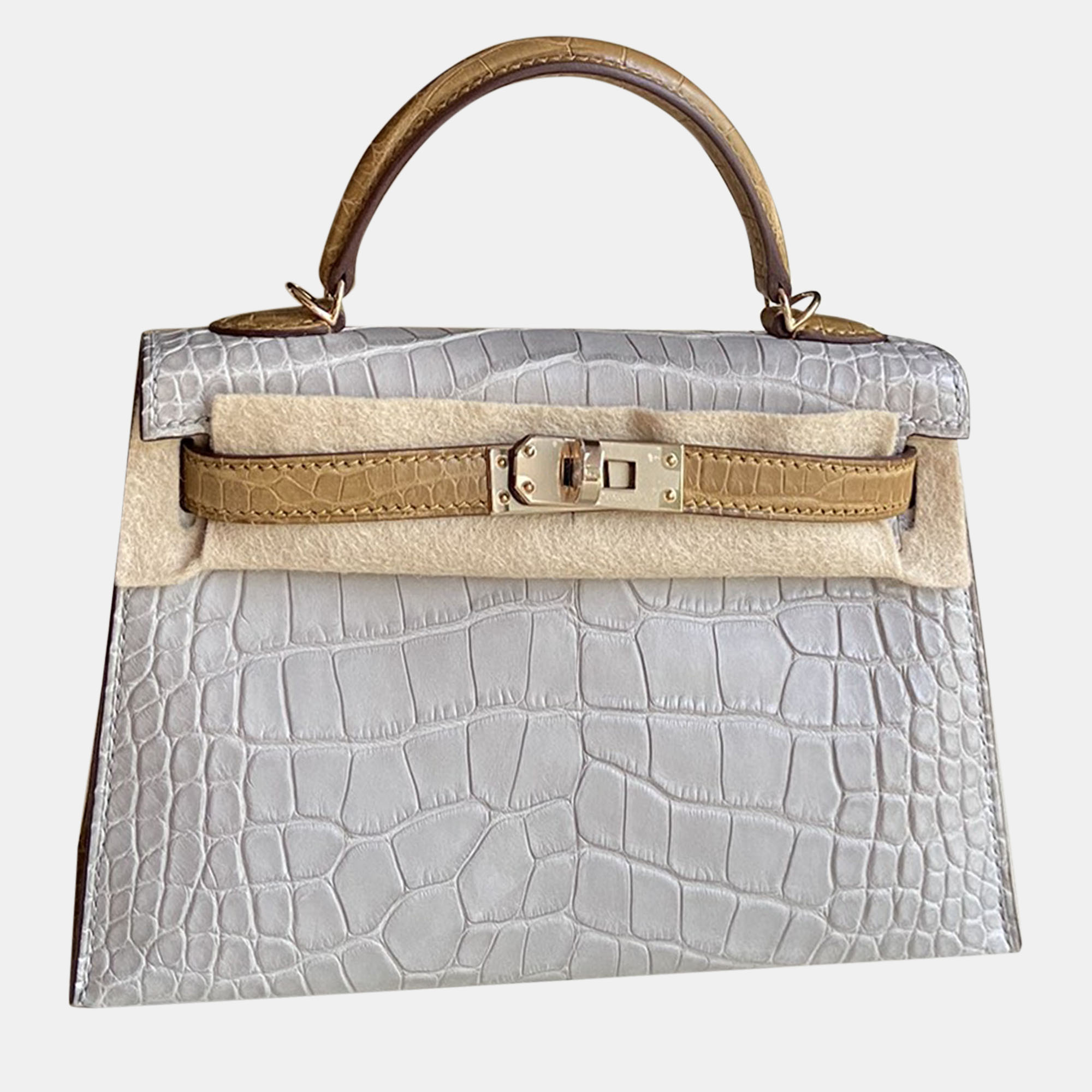 Hermes Bicolour Matte Alligator Mini Kelly Top Handle Bag, Grey
Hermes Bicolour Matte Alligator Mini Kelly Top Handle Bag, Grey
