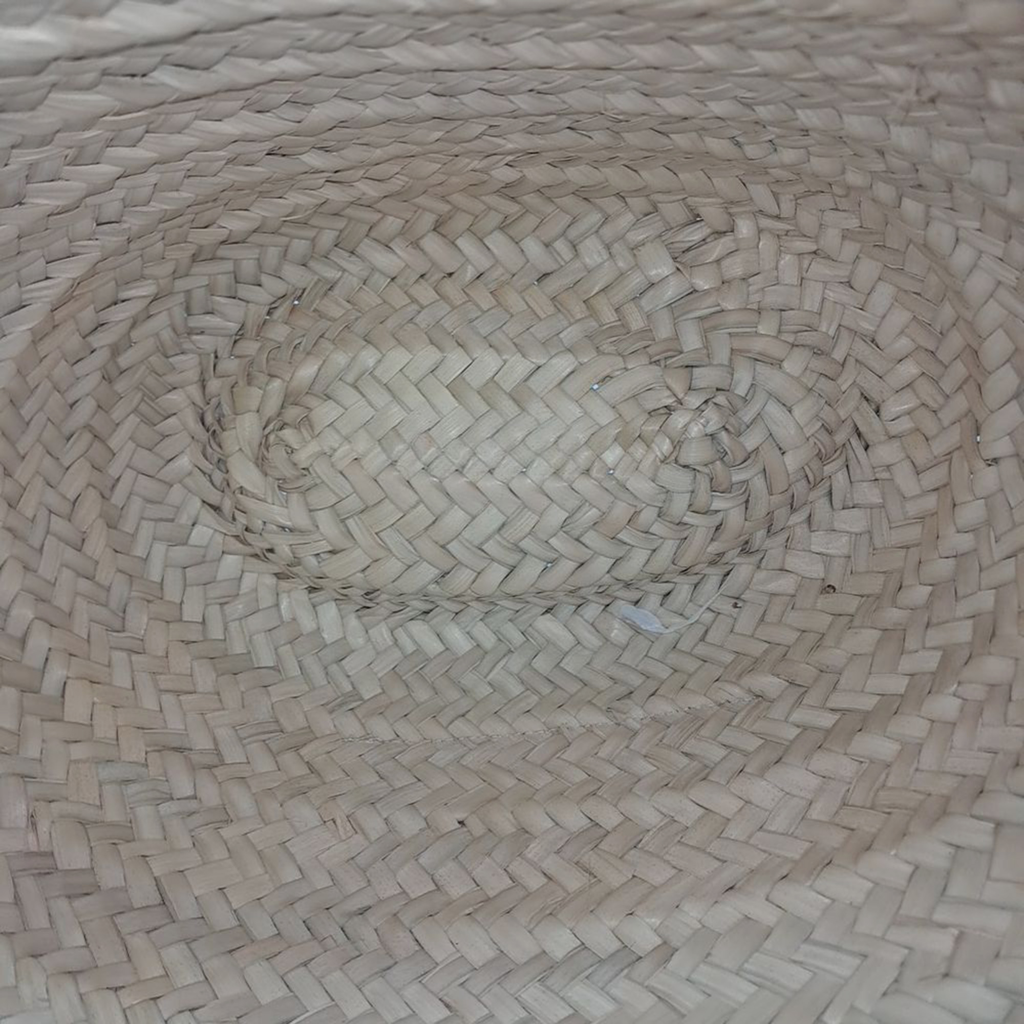 Loewe Basket Woven Tote Bag