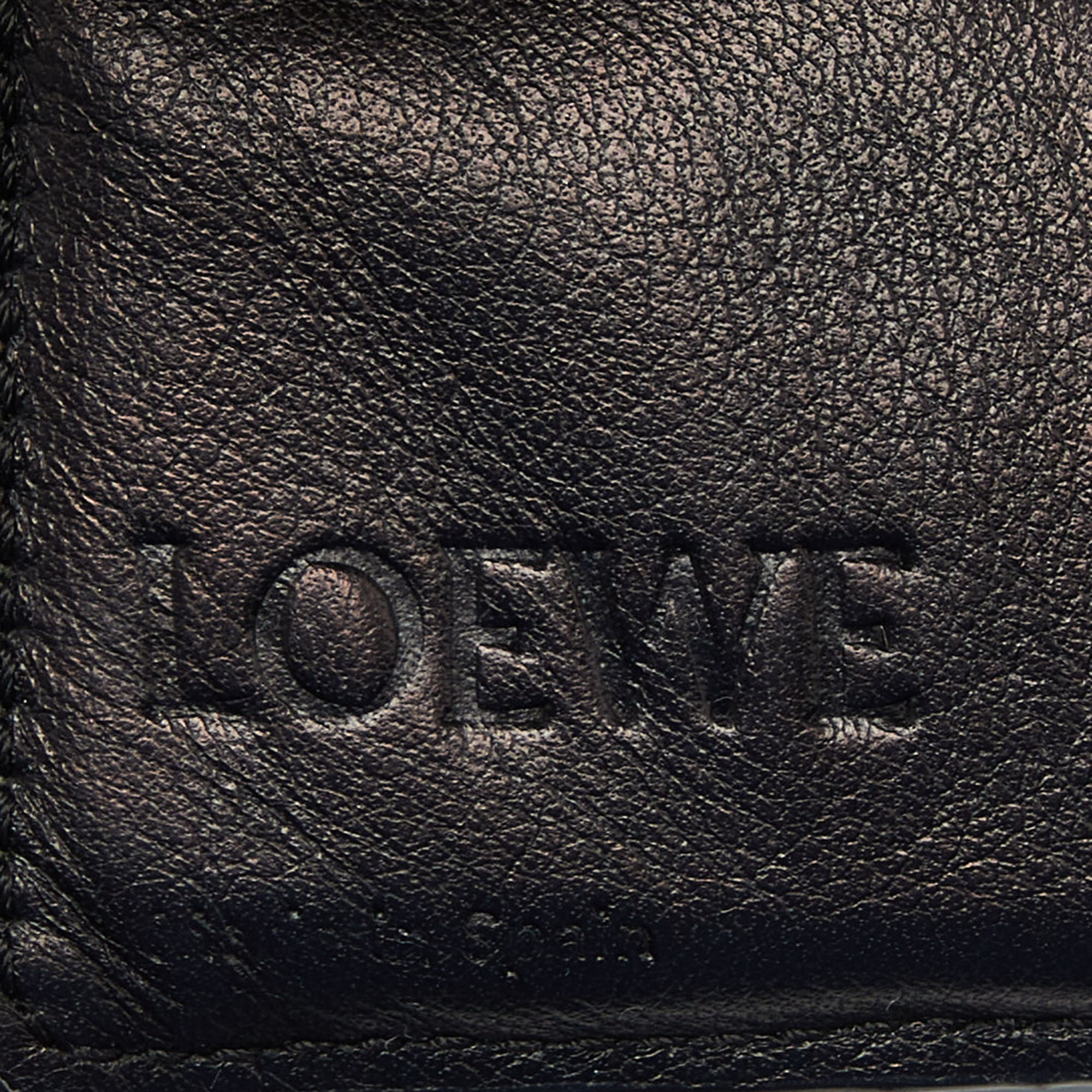 Loewe Green/Blue Leather Zip Compact Wallet